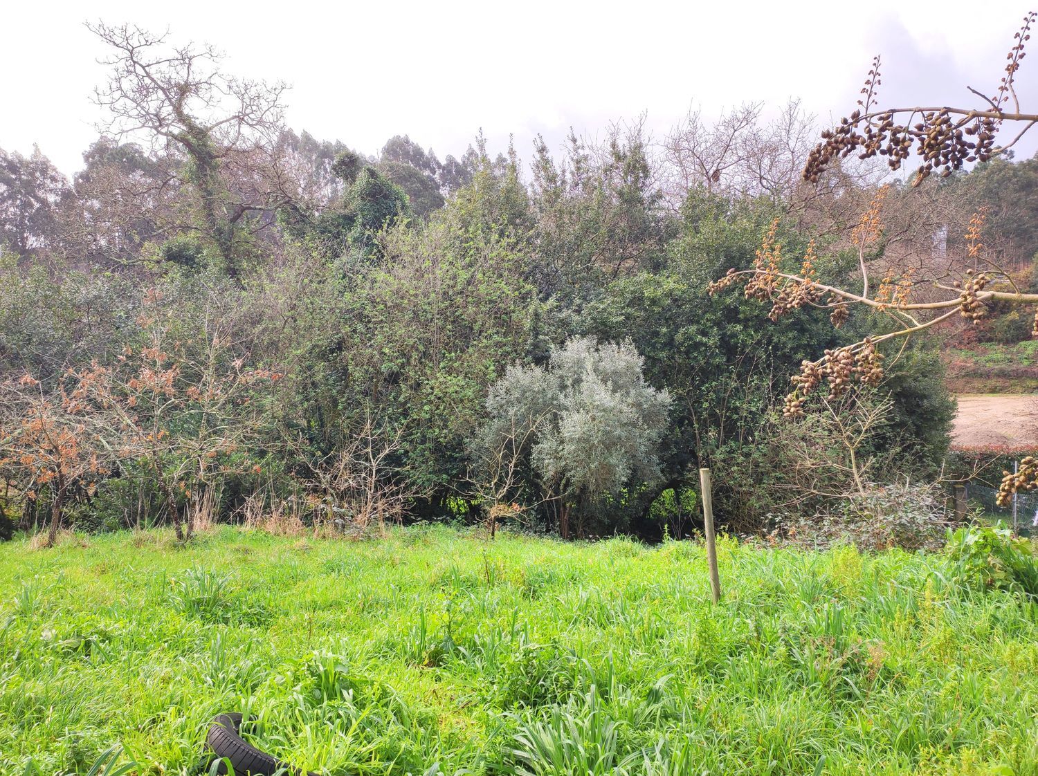 Propiedad en venta en A Coruña, Arteixo