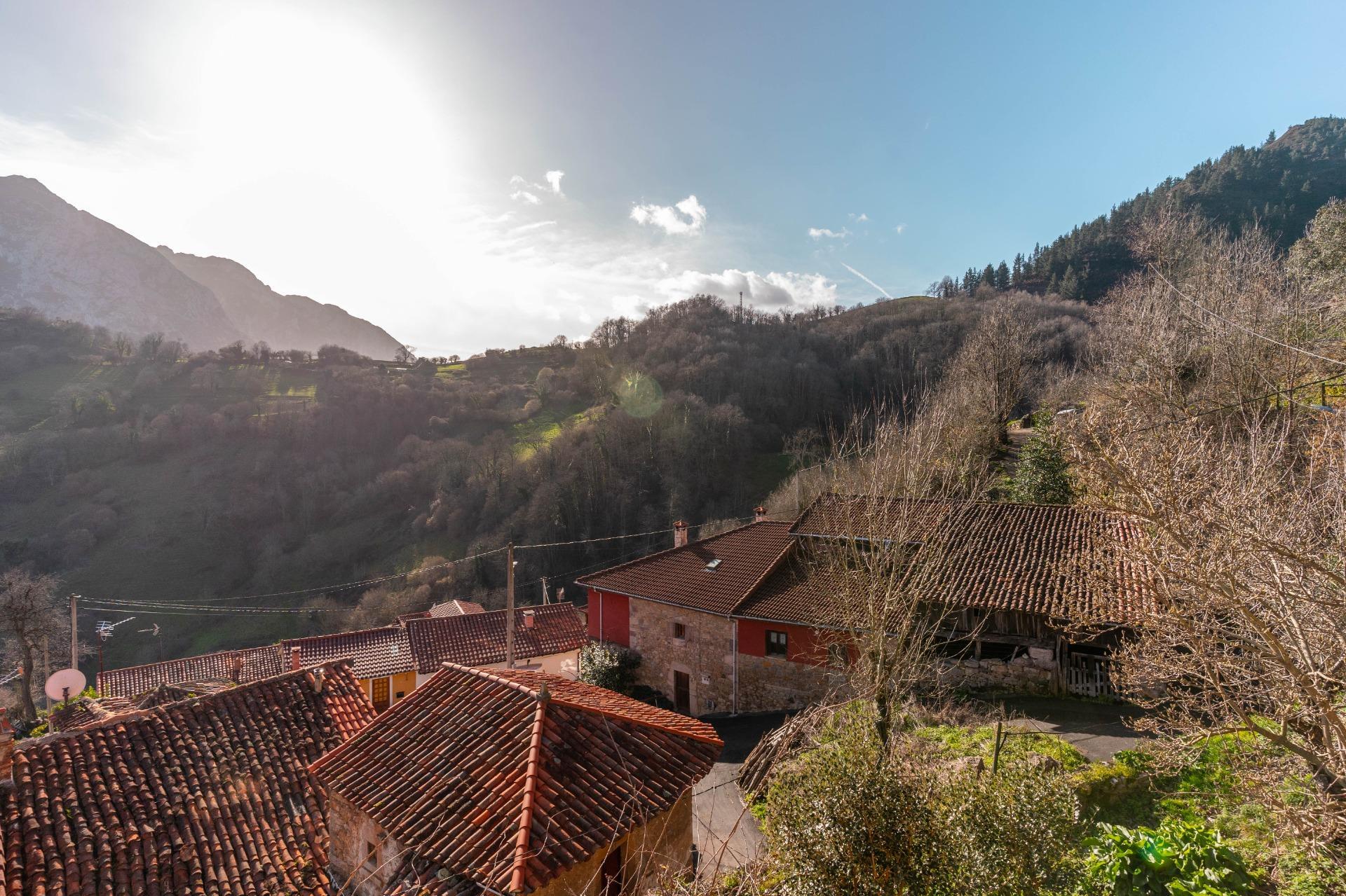 Casas o chalets-Venta-Proaza-2114095-Foto-12