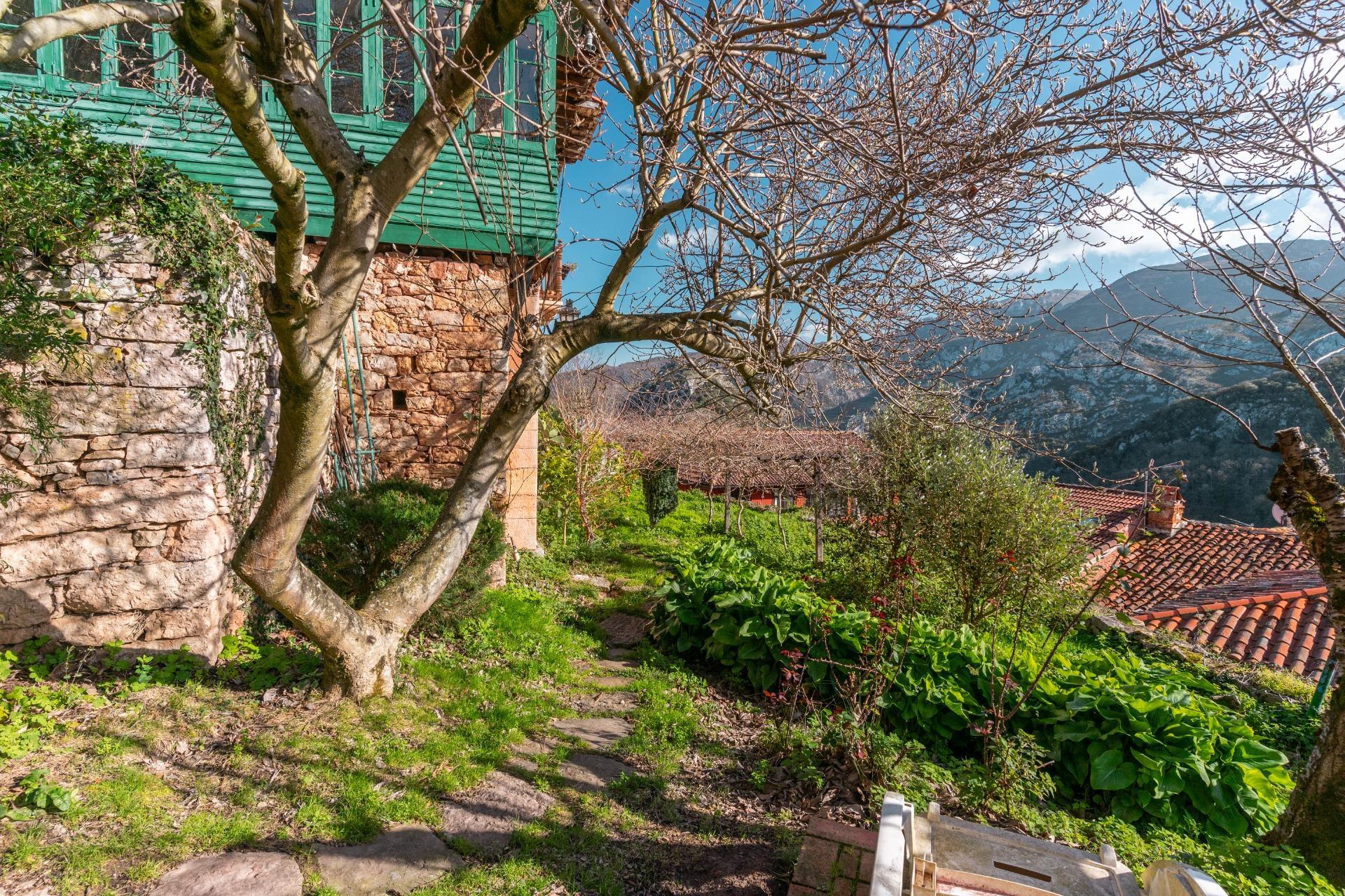 Casas o chalets-Venta-Proaza-2114095-Foto-46