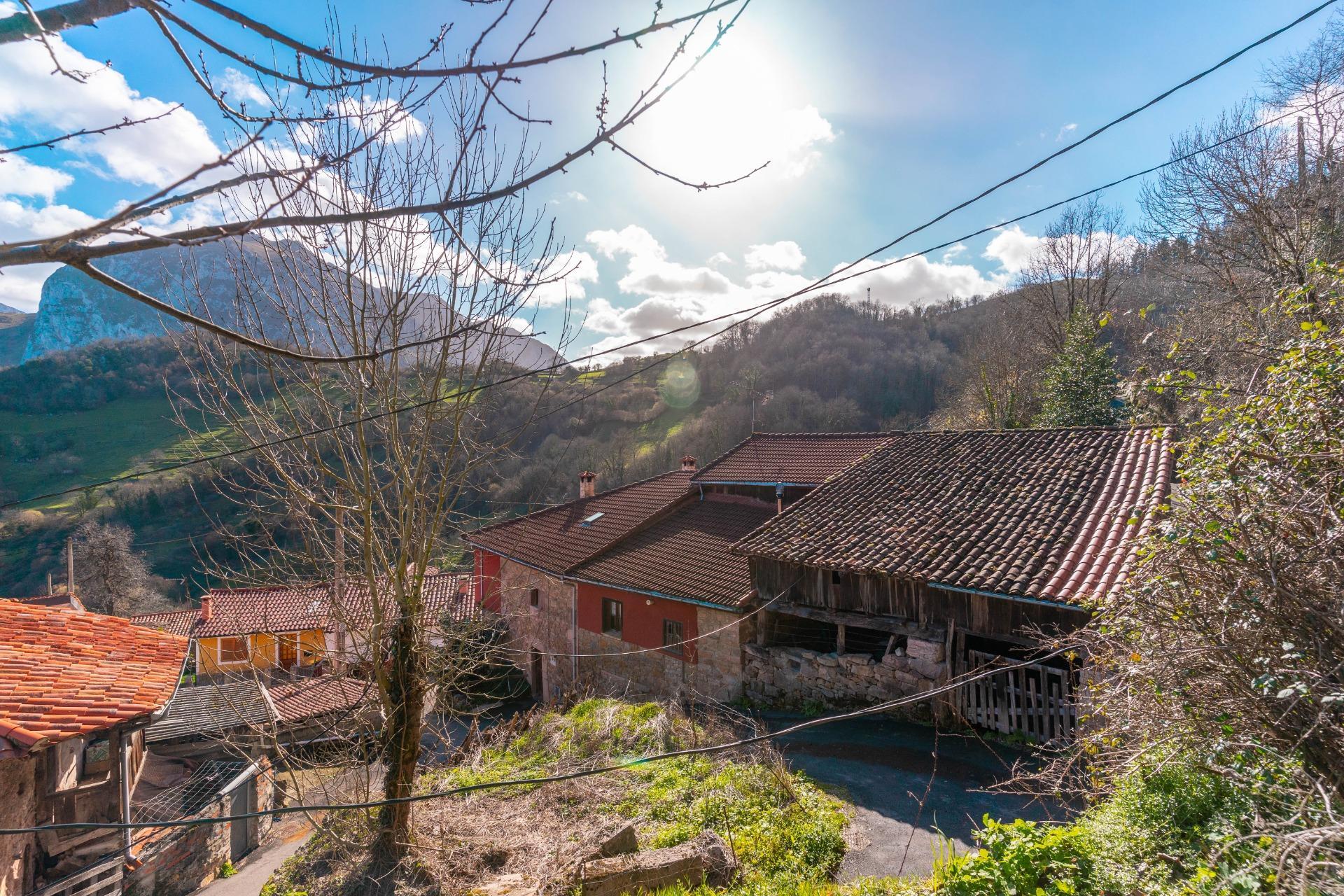 Casas o chalets-Venta-Proaza-2114095-Foto-64