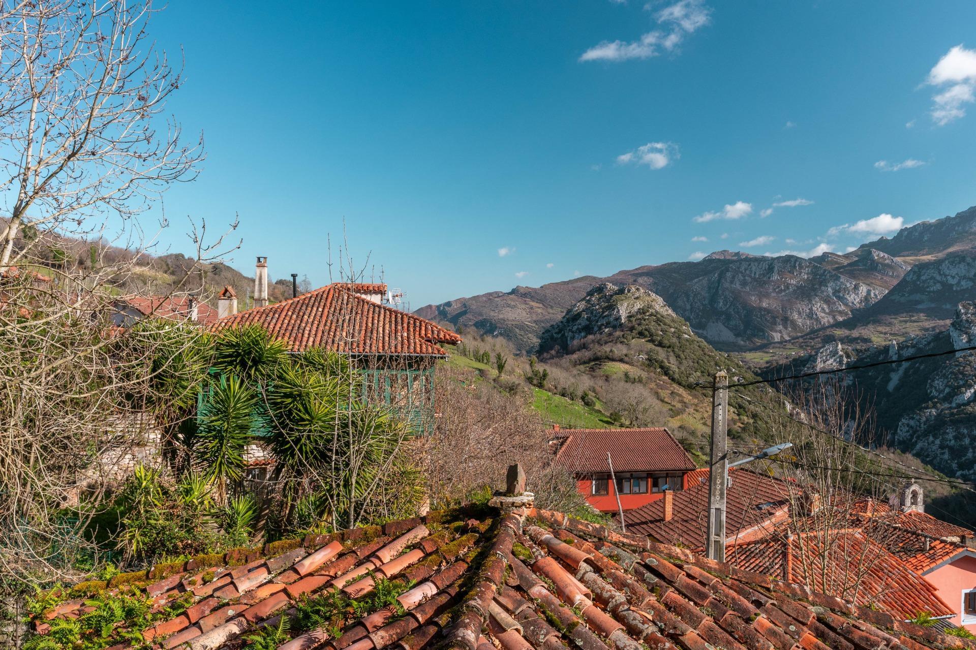 Casas o chalets-Venta-Proaza-2114095-Foto-62