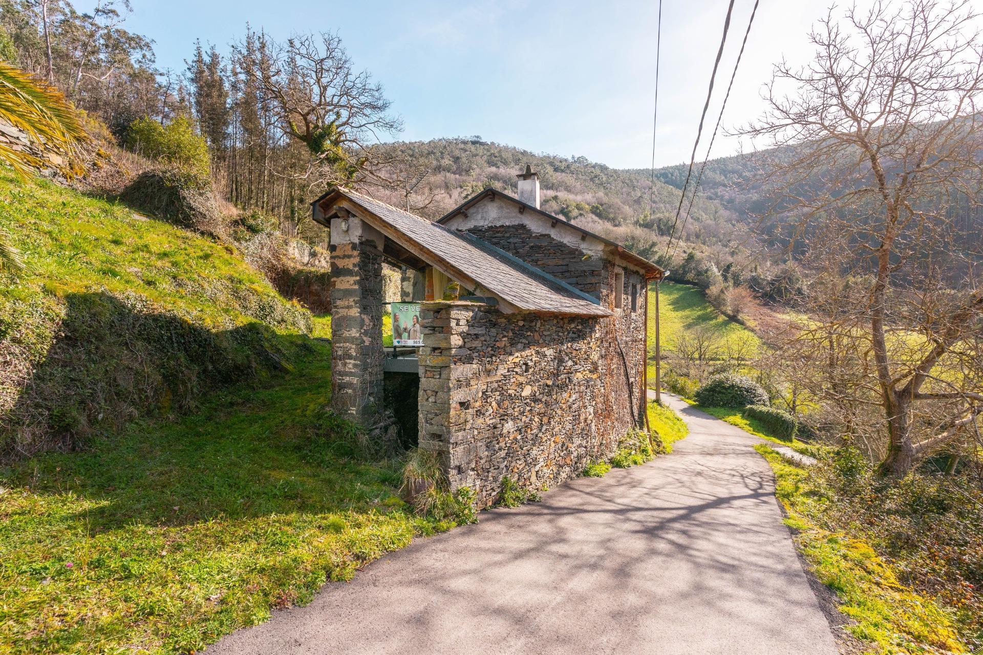 Casas o chalets-Venta-CoaÃ±a-2114110-Foto-3