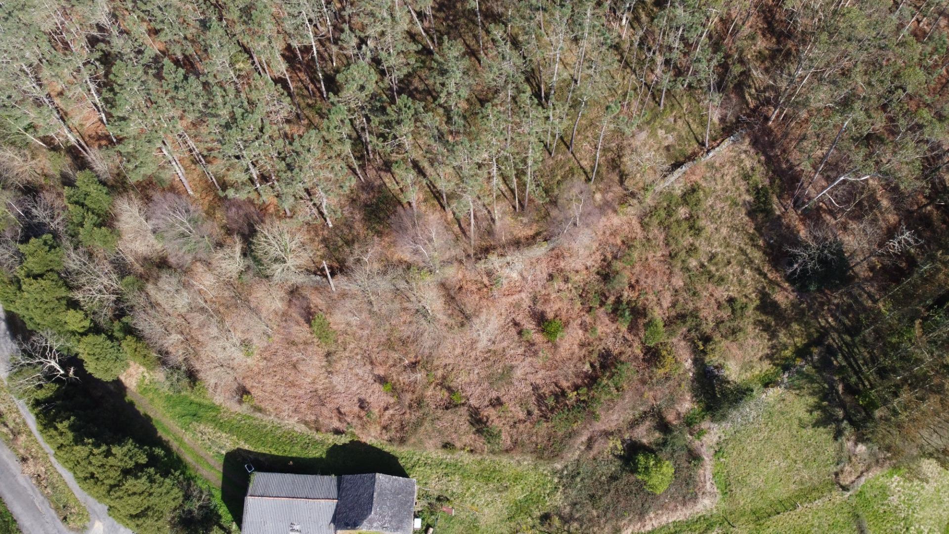 Casas o chalets-Venta-CoaÃ±a-2114110-Foto-35