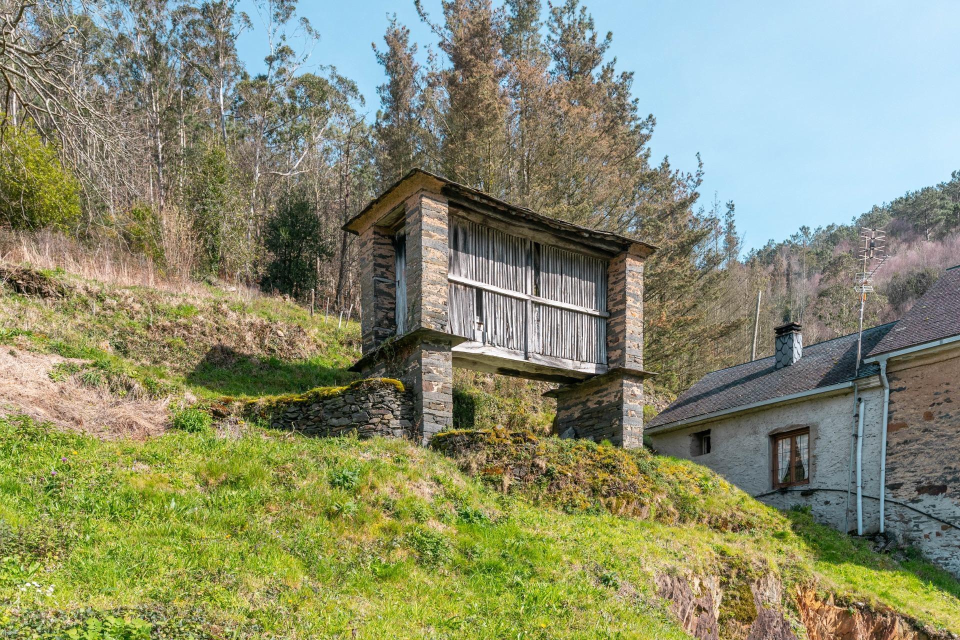 Casas o chalets-Venta-CoaÃ±a-2114110-Foto-40