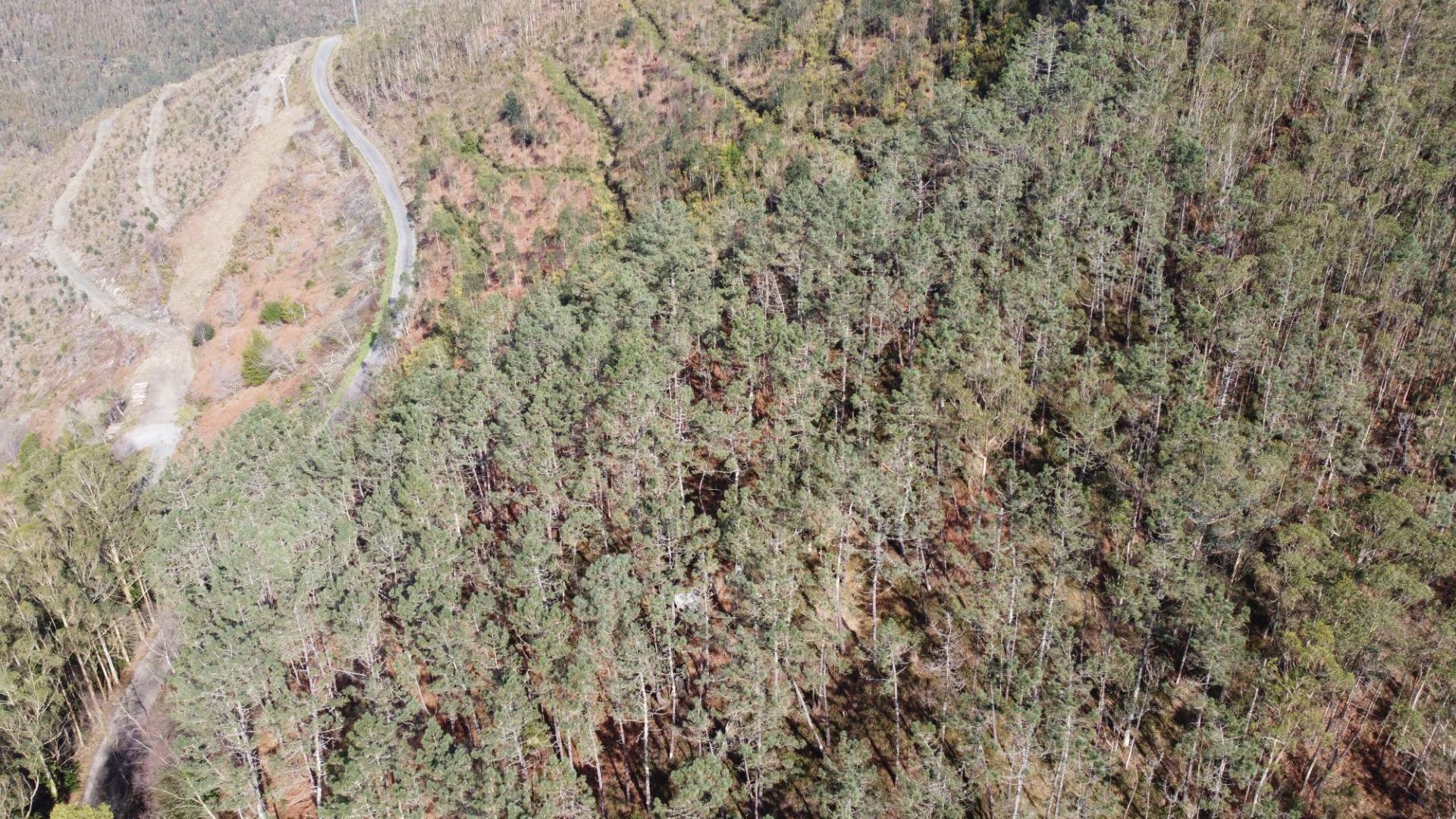 Casas o chalets-Venta-CoaÃ±a-2114110-Foto-45