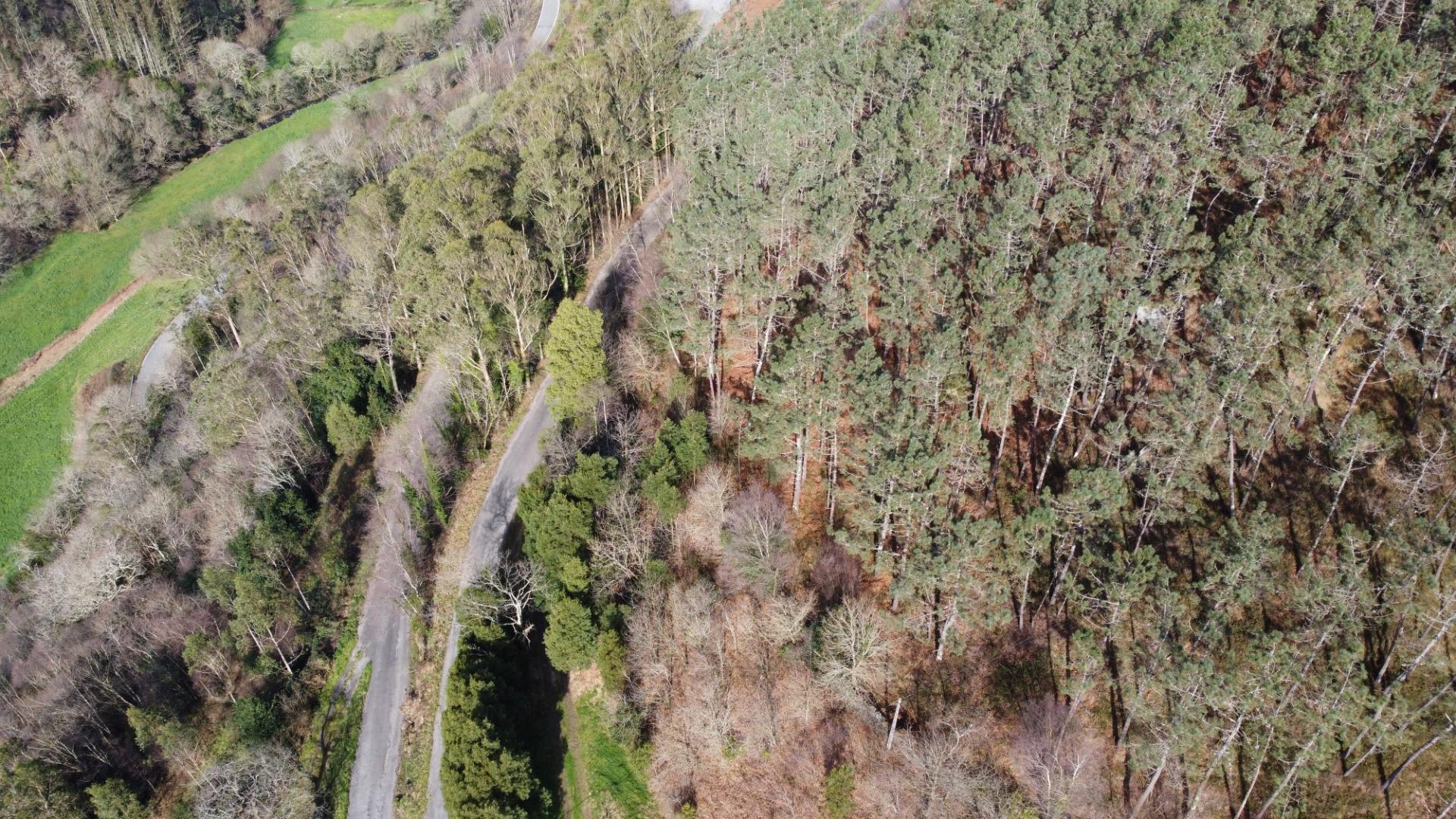 Casas o chalets-Venta-CoaÃ±a-2114110-Foto-44