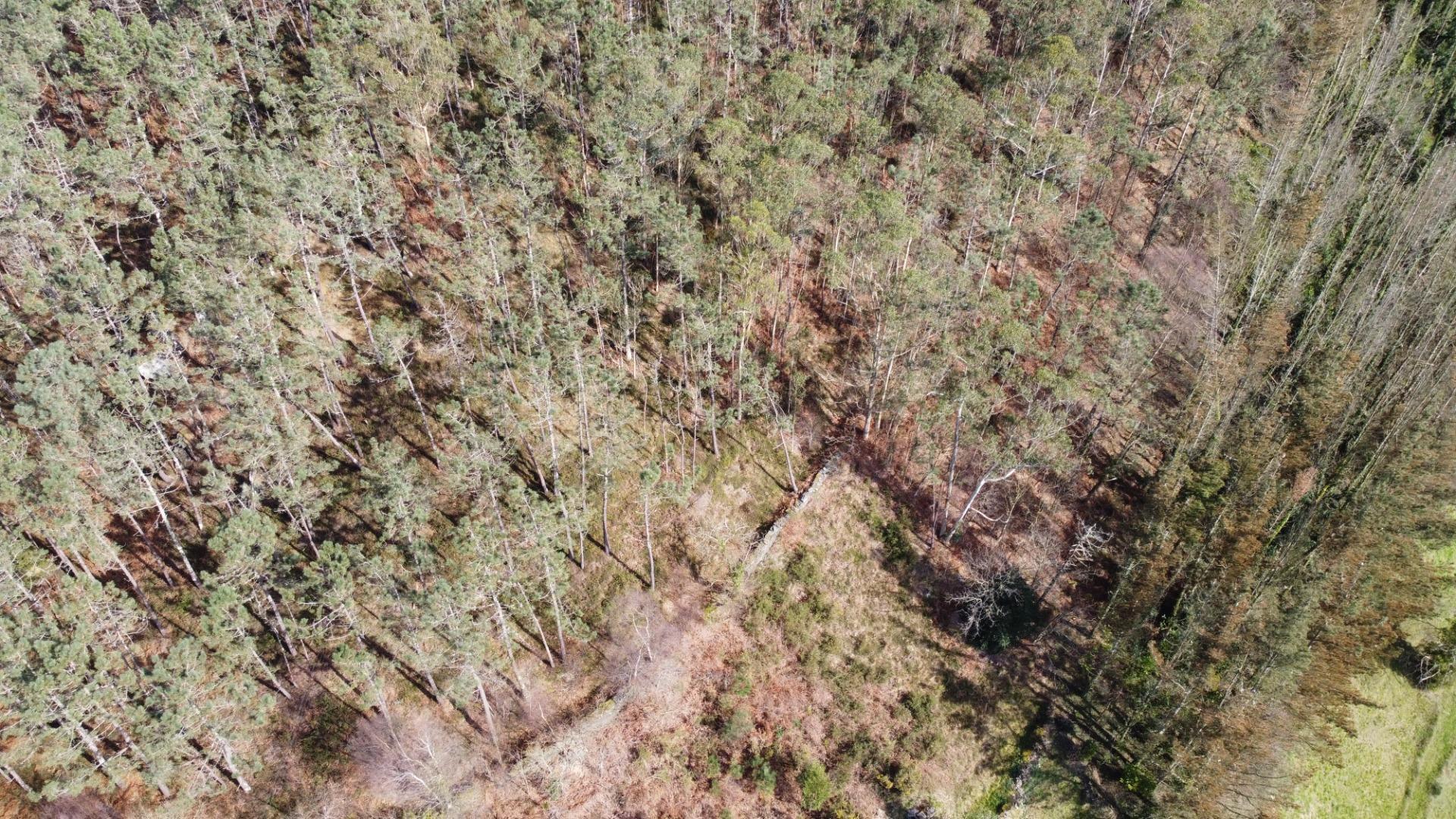 Casas o chalets-Venta-CoaÃ±a-2114110-Foto-48