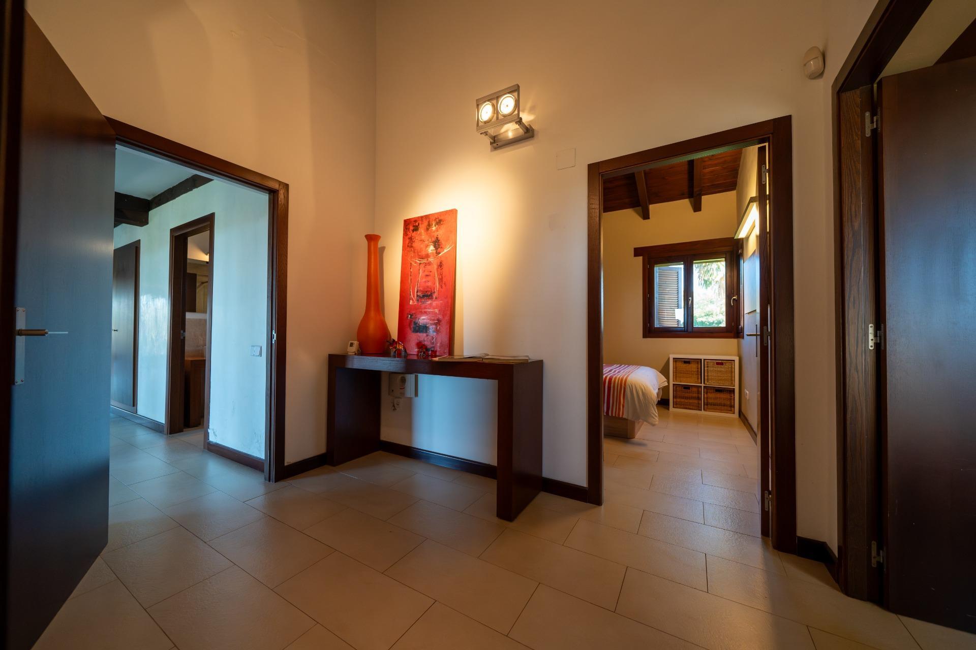 Chalet con viñedos, olivos y zona ecuestre en Requena.