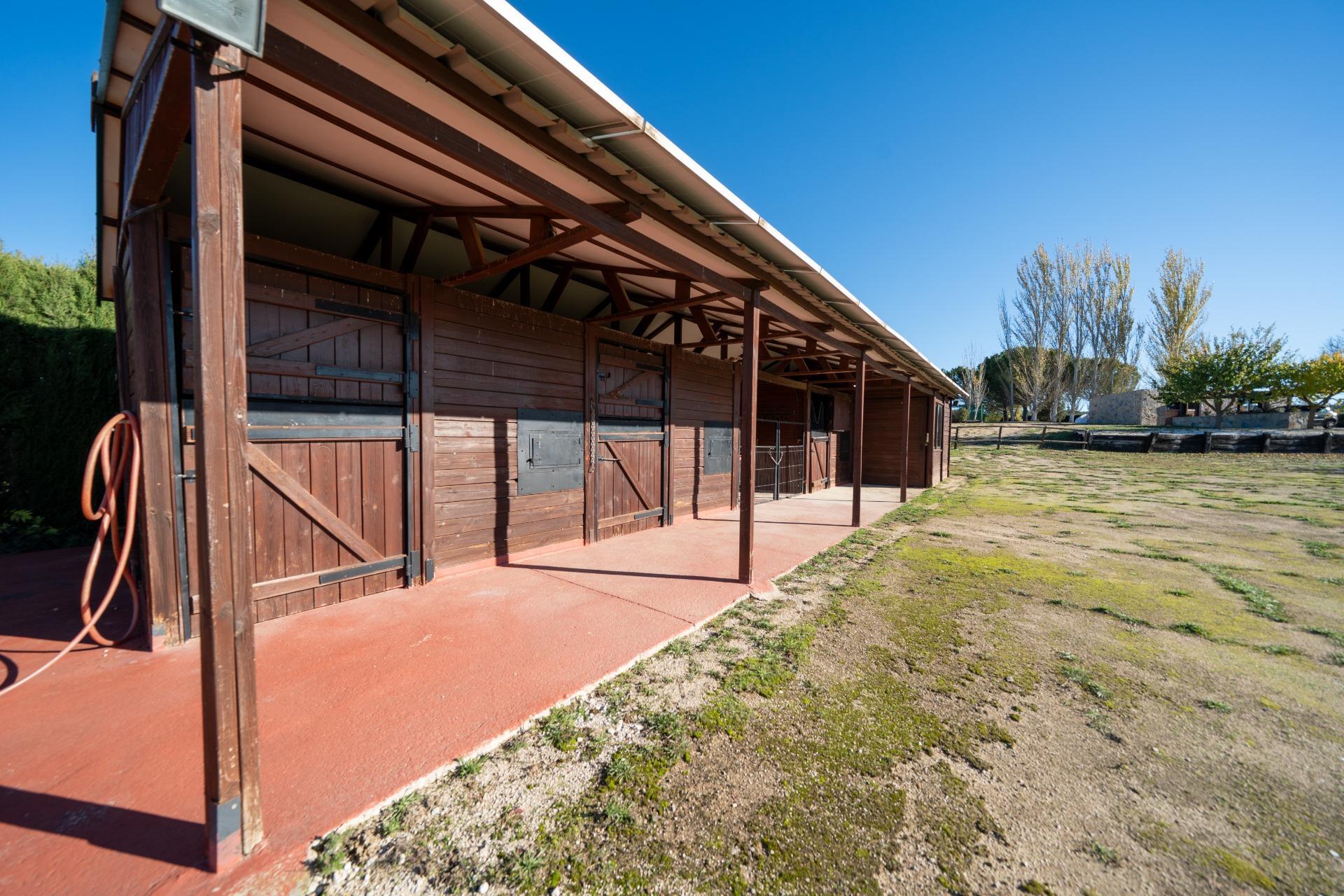 Chalet con viñedos, olivos y zona ecuestre en Requena.
