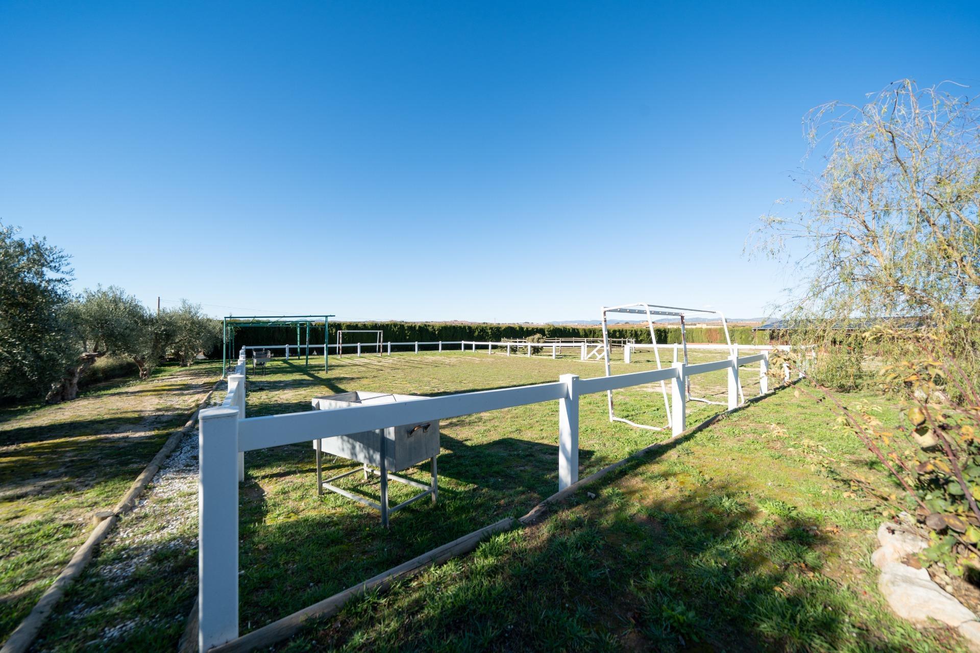 Chalet con viñedos, olivos y zona ecuestre en Requena.