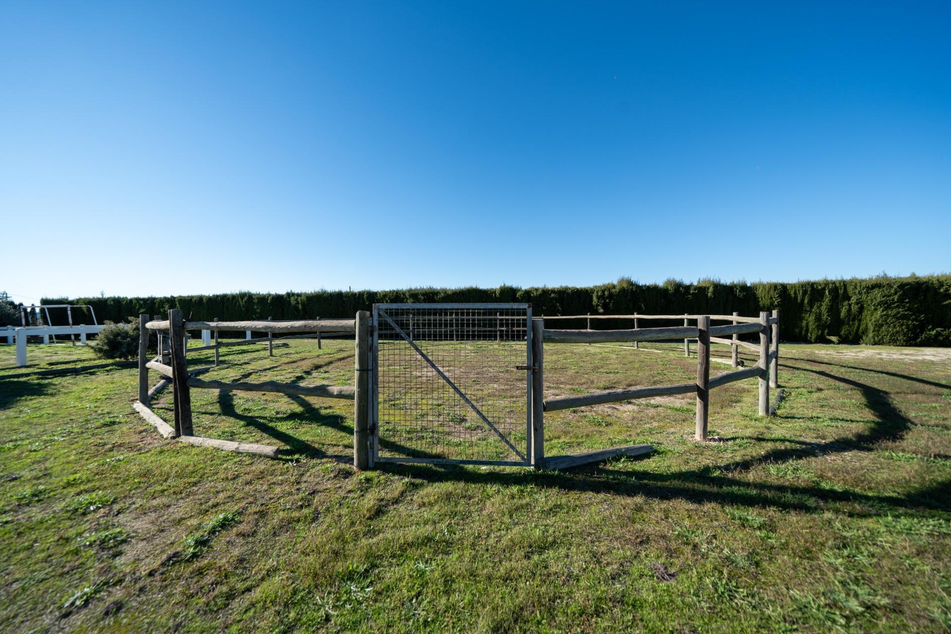 Chalet con viñedos, olivos y zona ecuestre en Requena.