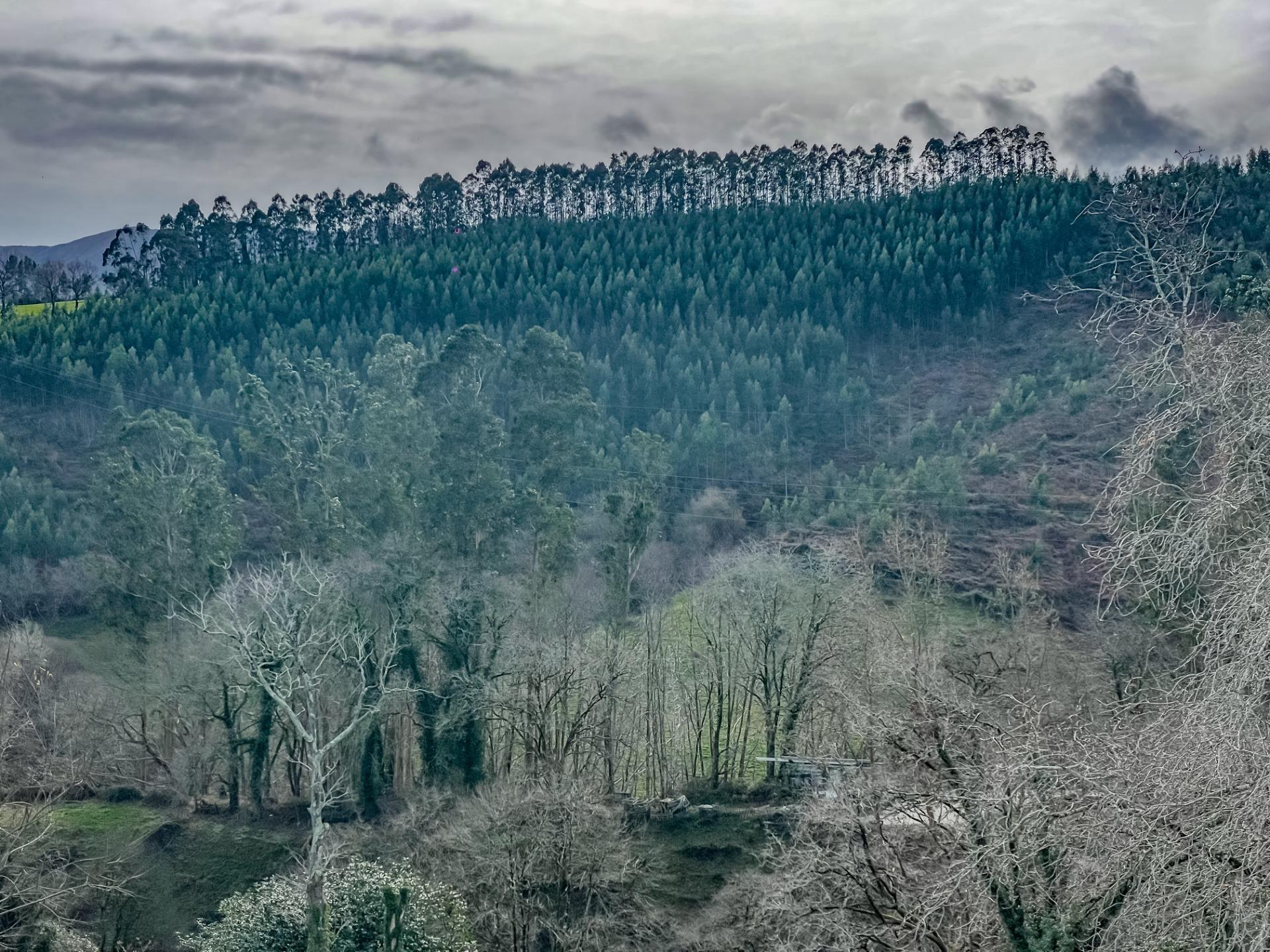 Casa de piedra para rehabilitar en plena naturaleza ? Valdáliga (Cantabria)