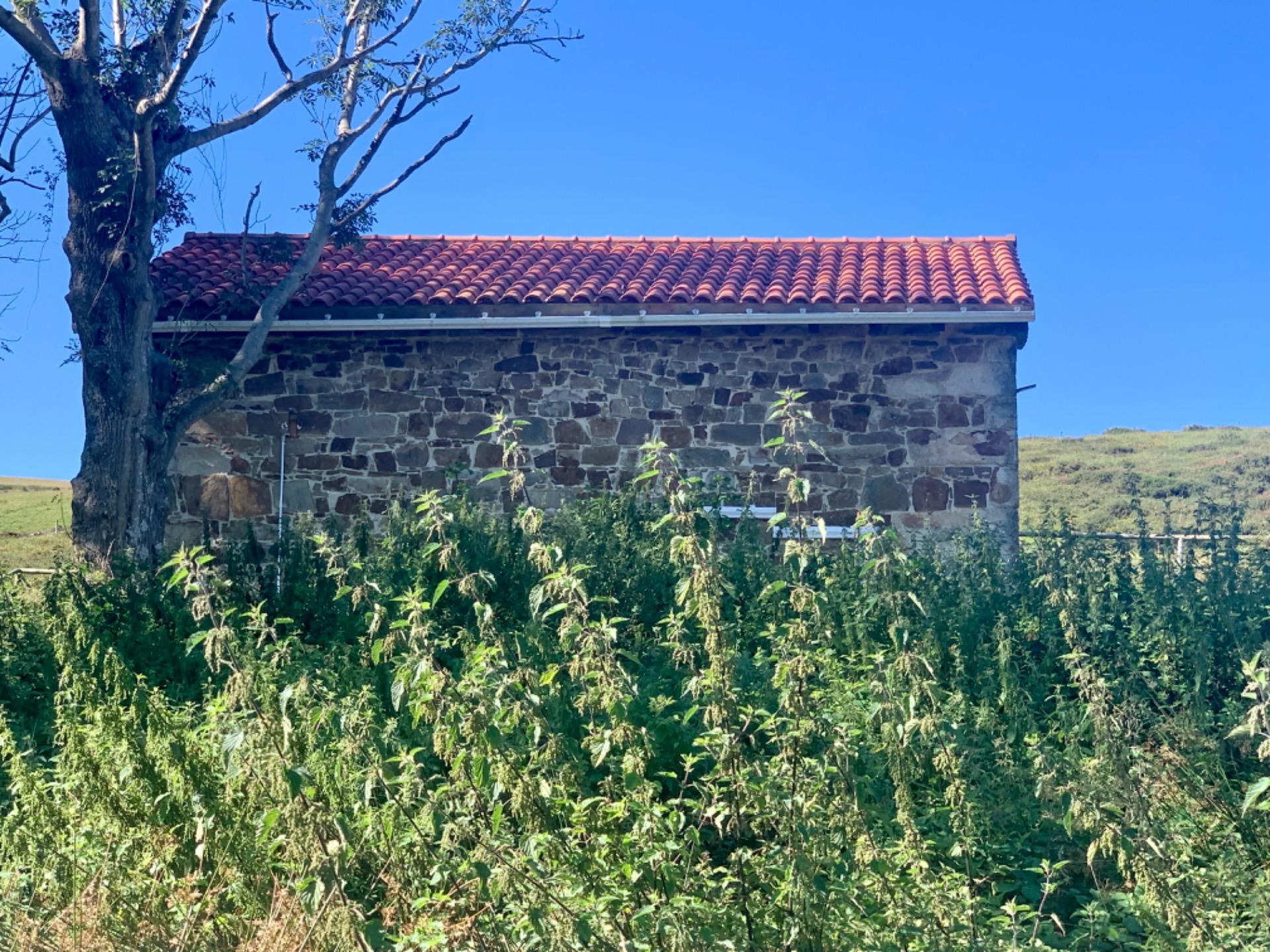CABAÑA de Piedra Pasiega en San Roque Riomiera, Merilla
