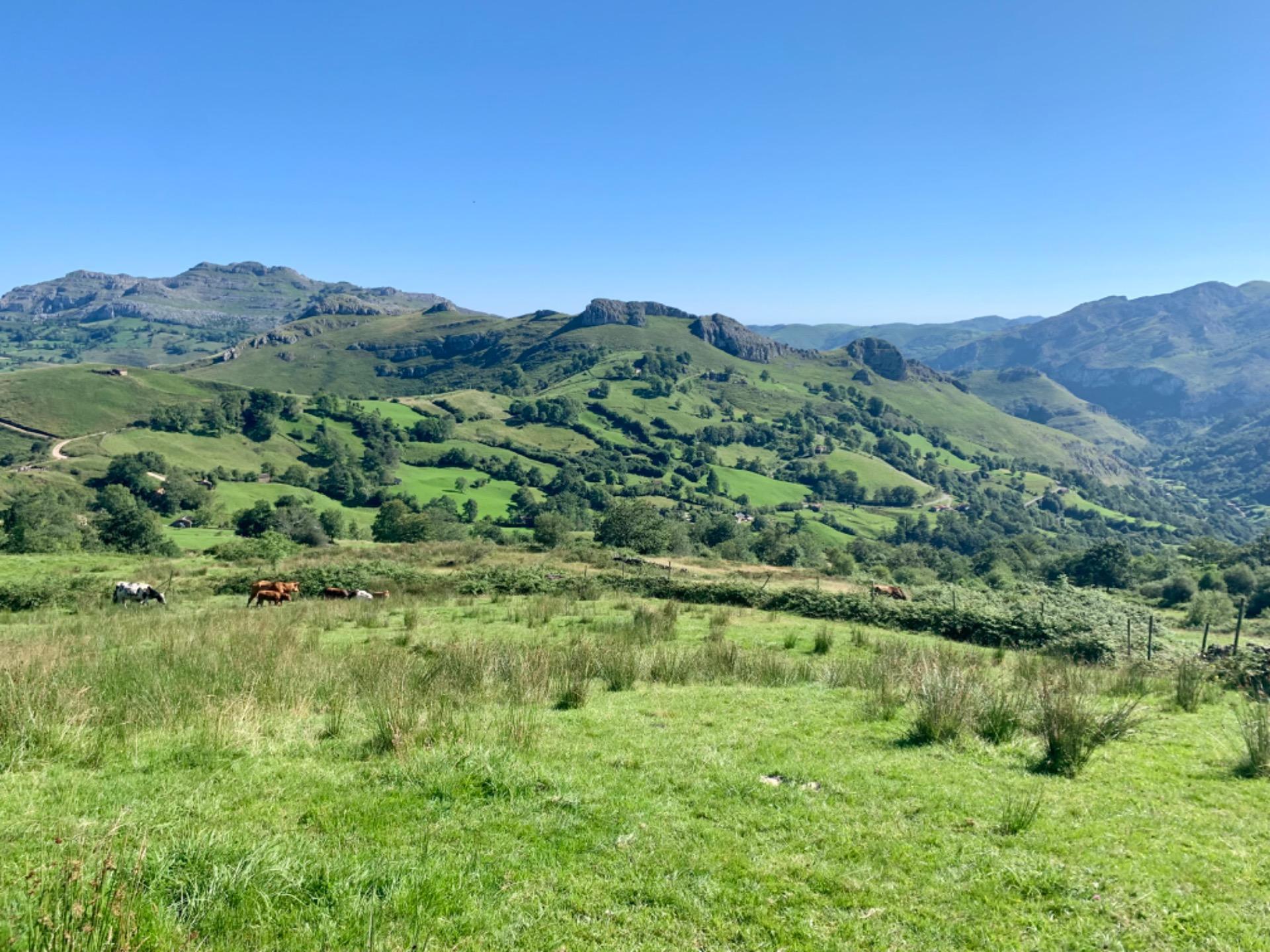 CABAÑA de Piedra Pasiega en San Roque Riomiera, Merilla