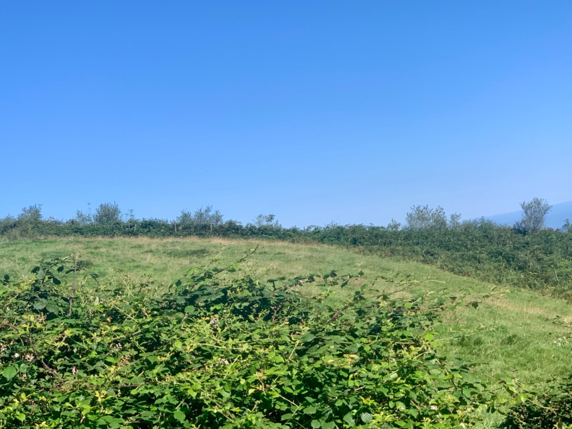 CABAÑA de Piedra Pasiega en San Roque Riomiera, Merilla