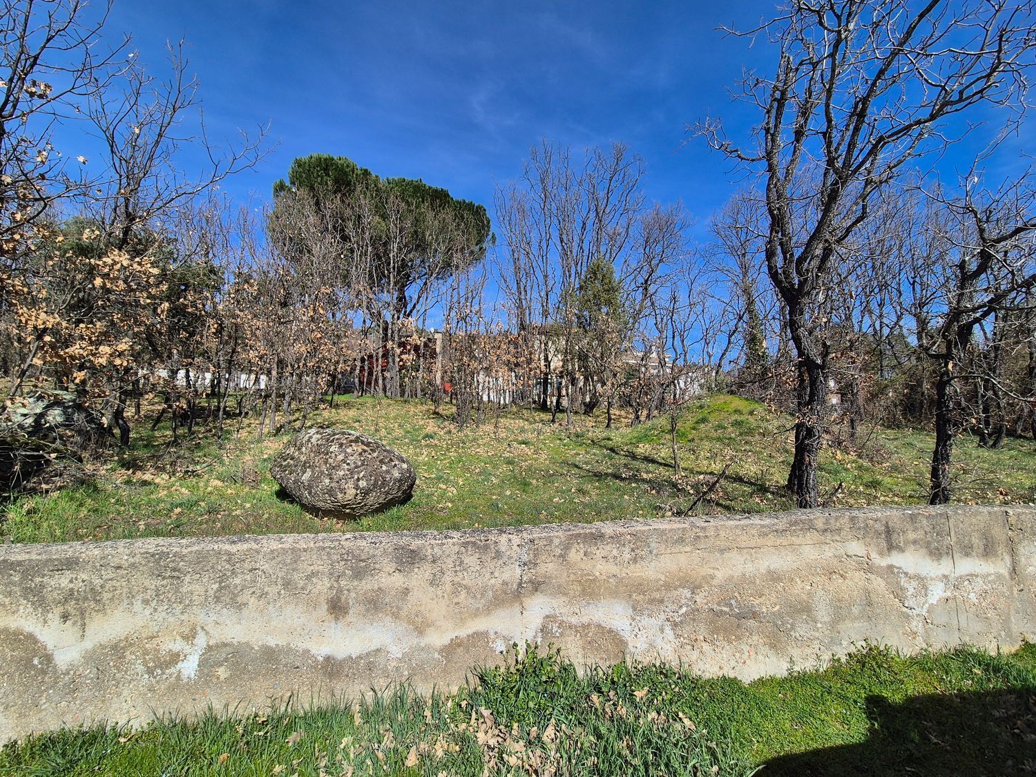 Fincas y solares-Venta-Navaluenga-2114276-Foto-2