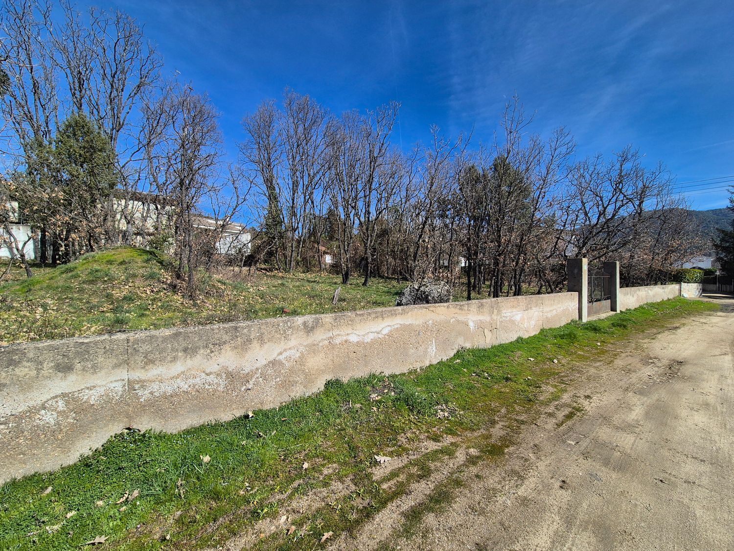 Fincas y solares-Venta-Navaluenga-2114276-Foto-5