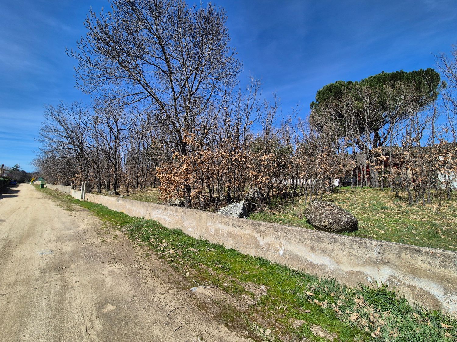 Fincas y solares-Venta-Navaluenga-2114276-Foto-10