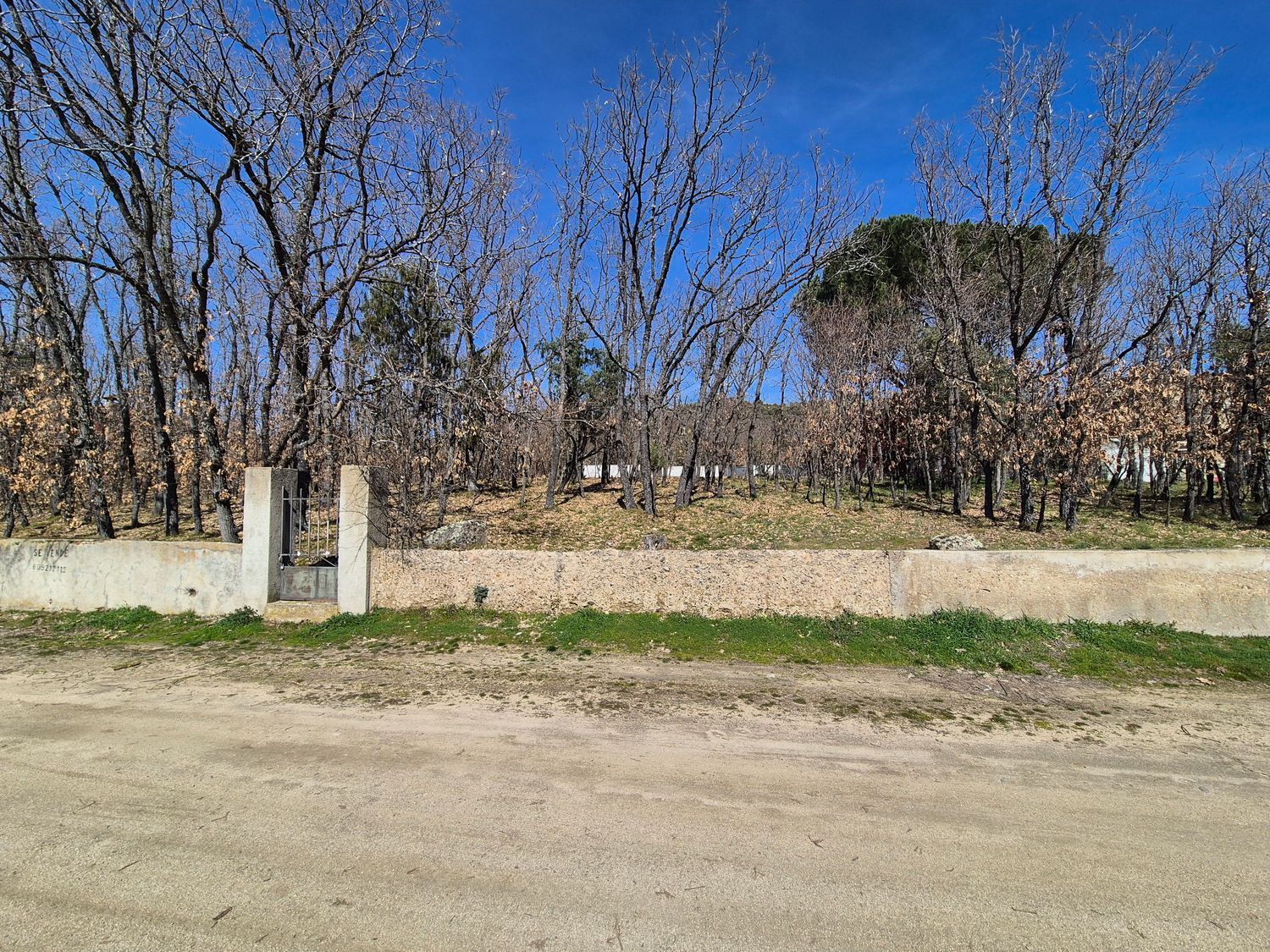 Fincas y solares-Venta-Navaluenga-2114276-Foto-8