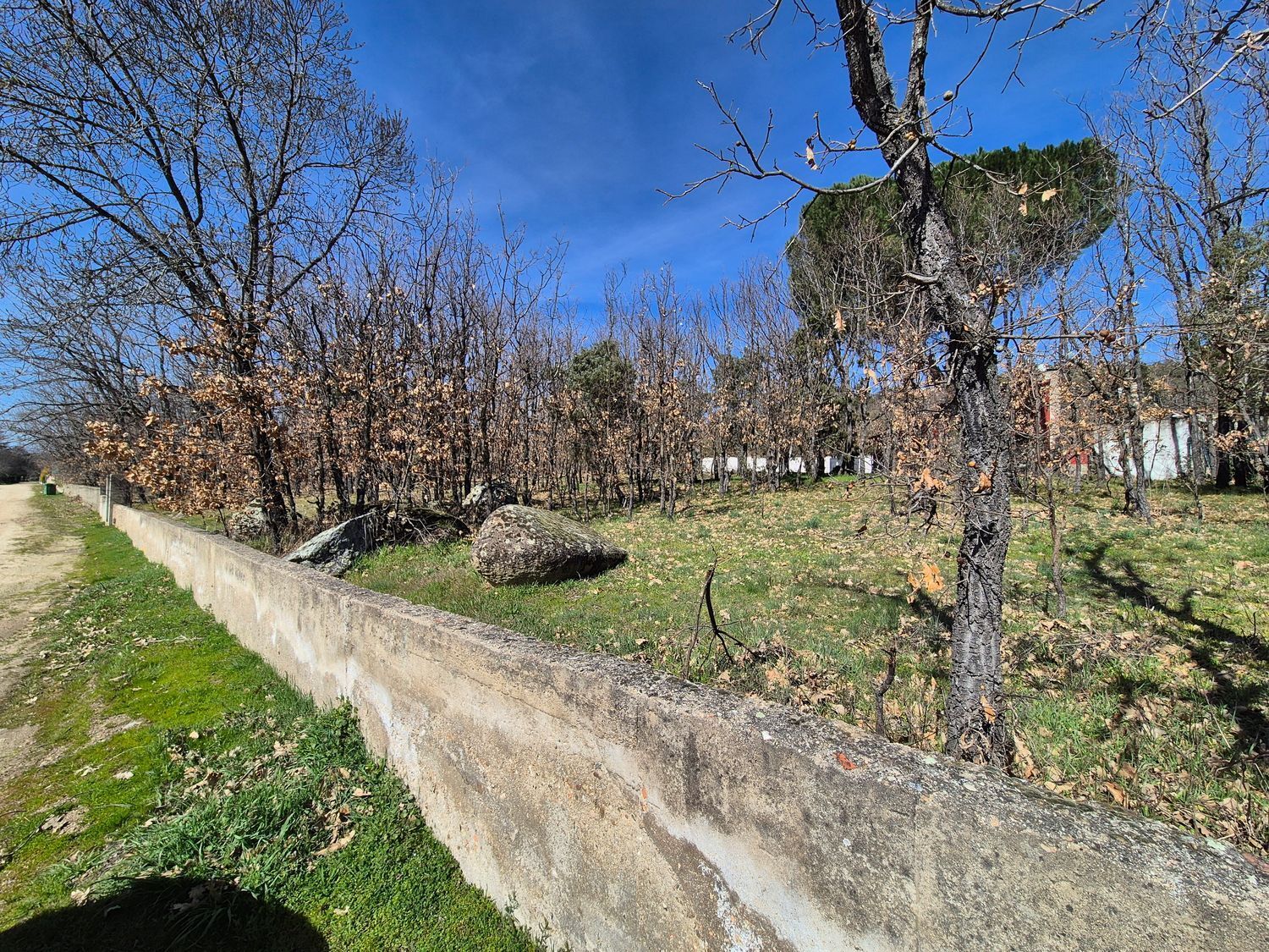 Fincas y solares-Venta-Navaluenga-2114276-Foto-7