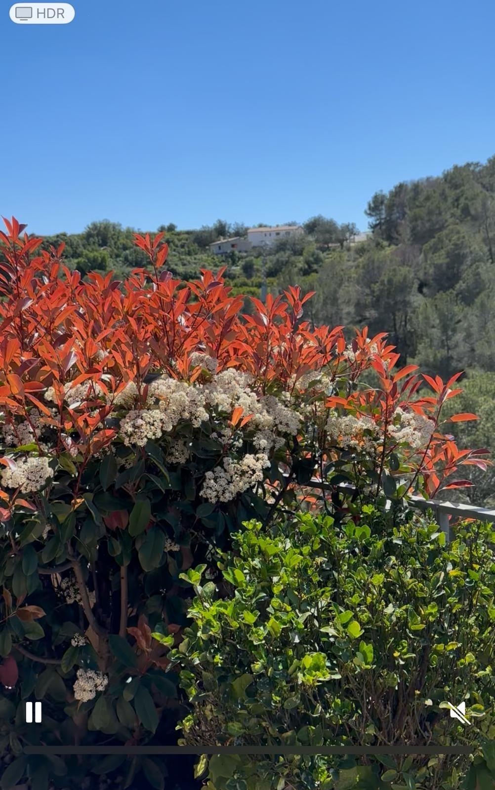 Chalet espectacular con vistas a la montaña en la Urbanización La Serreta (Rótova)