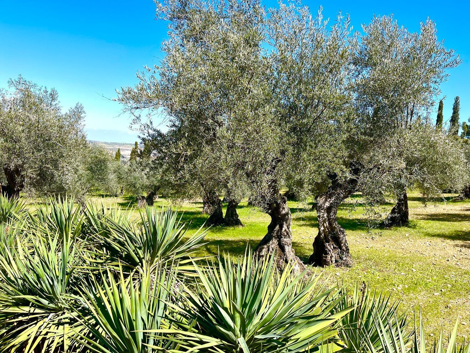 Casas o chalets-Venta-Toledo-1744111-Foto-16