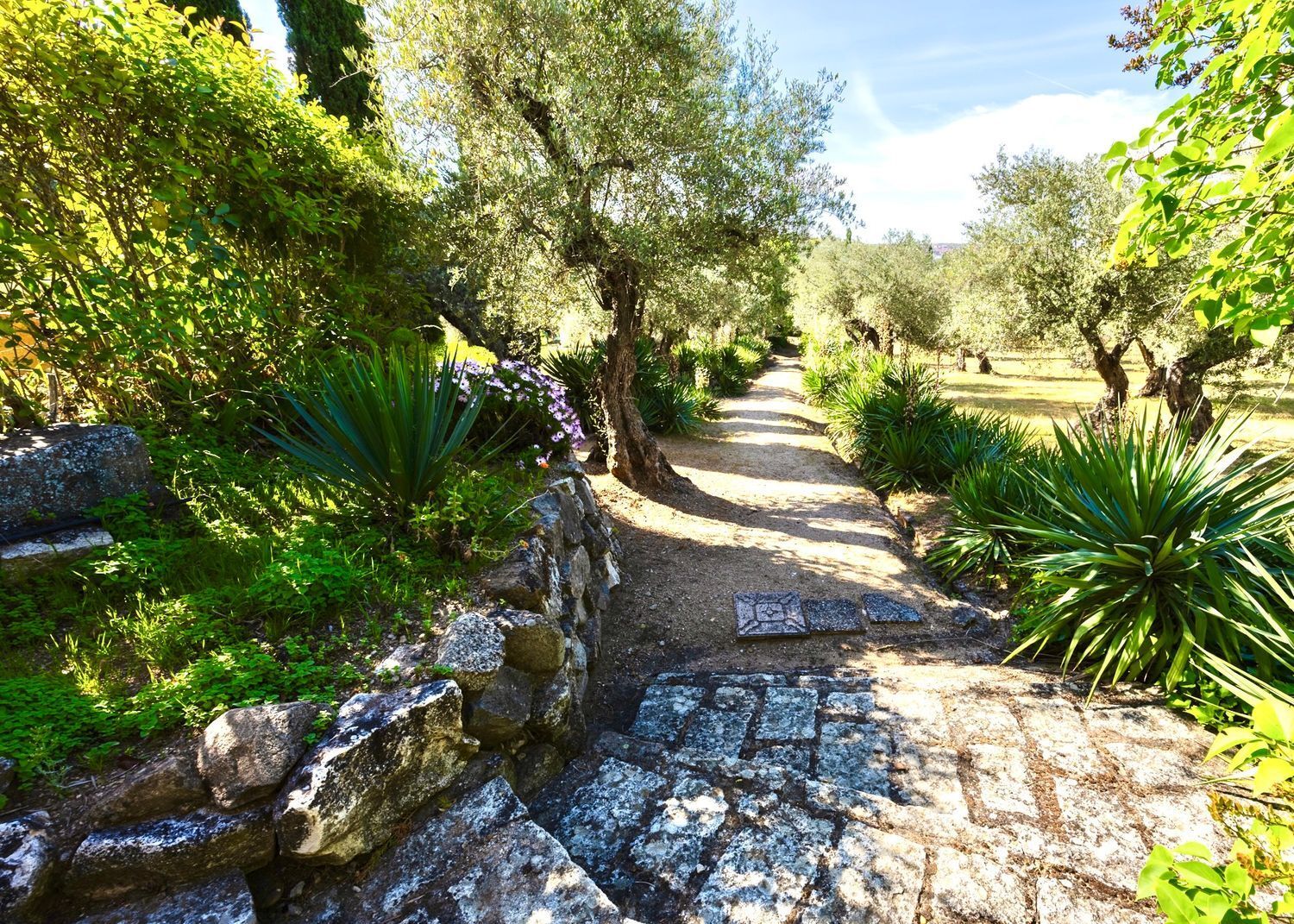 Casas o chalets-Venta-Toledo-1744111-Foto-37