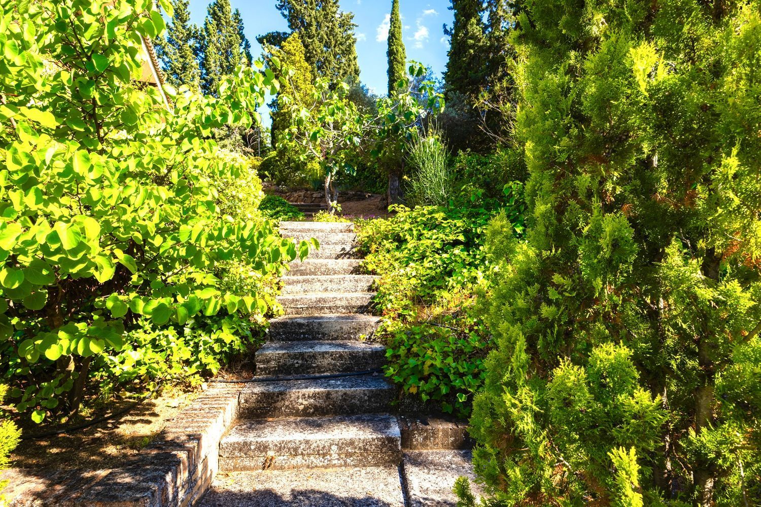 Casas o chalets-Venta-Toledo-1744111-Foto-35