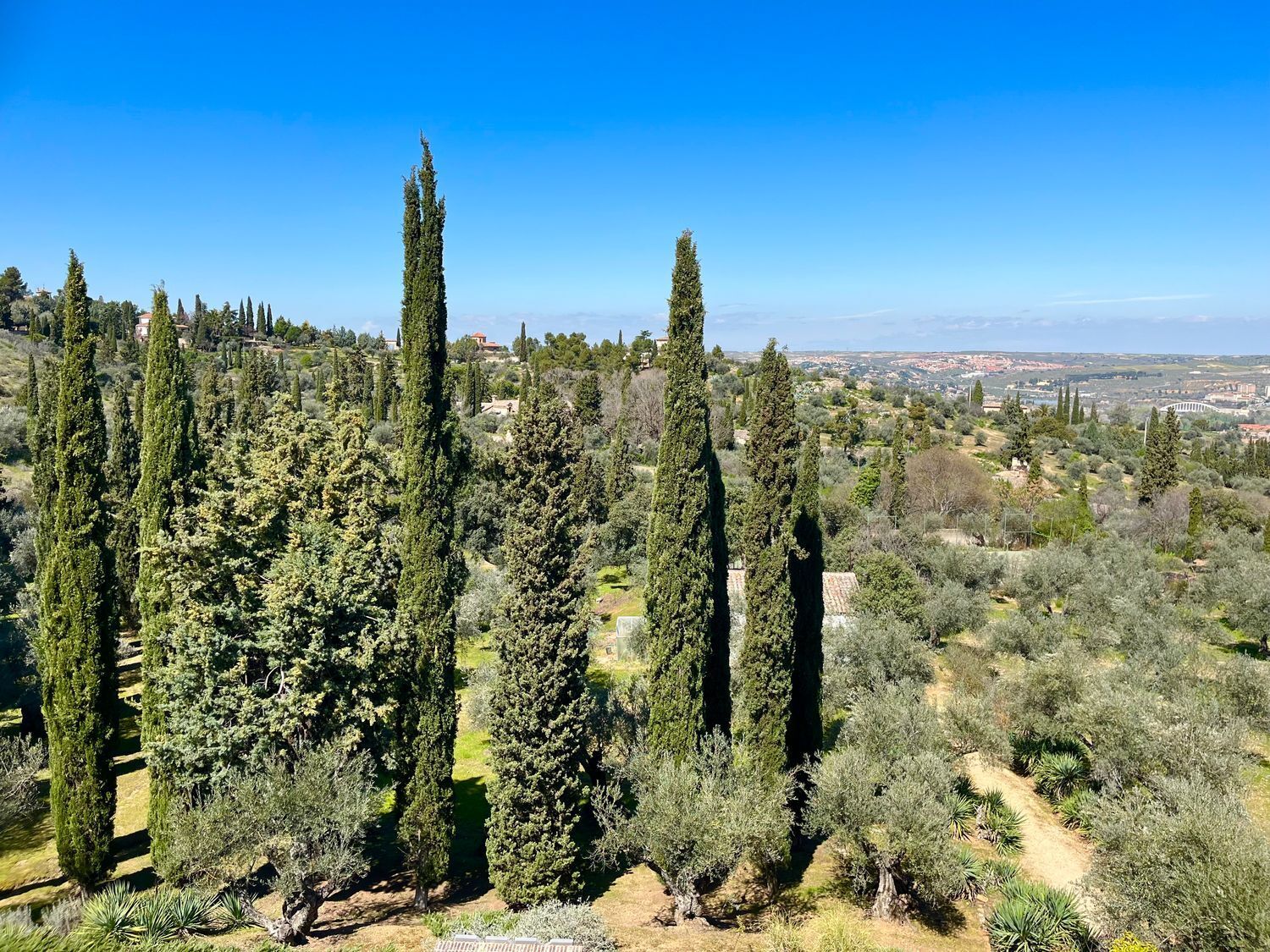 Casas o chalets-Venta-Toledo-1744111-Foto-40