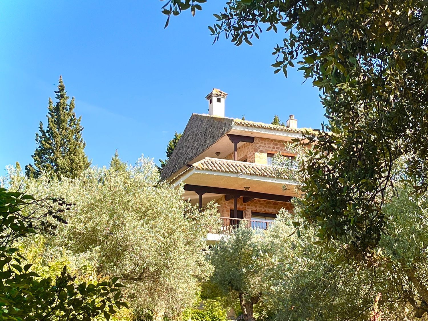 Casas o chalets-Venta-Toledo-1744111-Foto-55