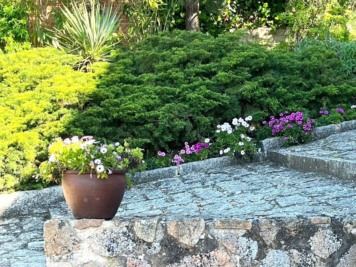 Casas o chalets-Venta-Toledo-1744111-Foto-52