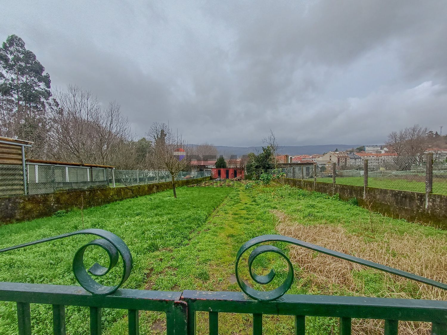 Negocios-Venta-A CaÃ±iza-2114513-Foto-19