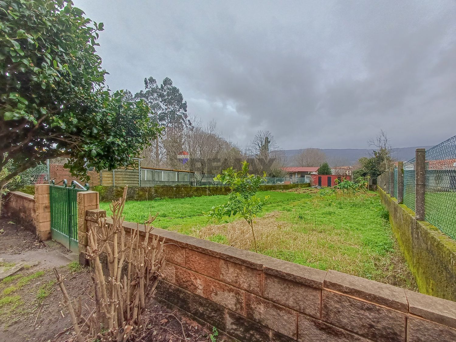 Negocios-Venta-A CaÃ±iza-2114513-Foto-17