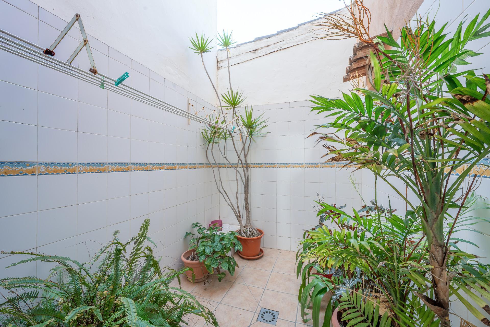 Casas o chalets-Venta-Daya Nueva-2114516-Foto-22