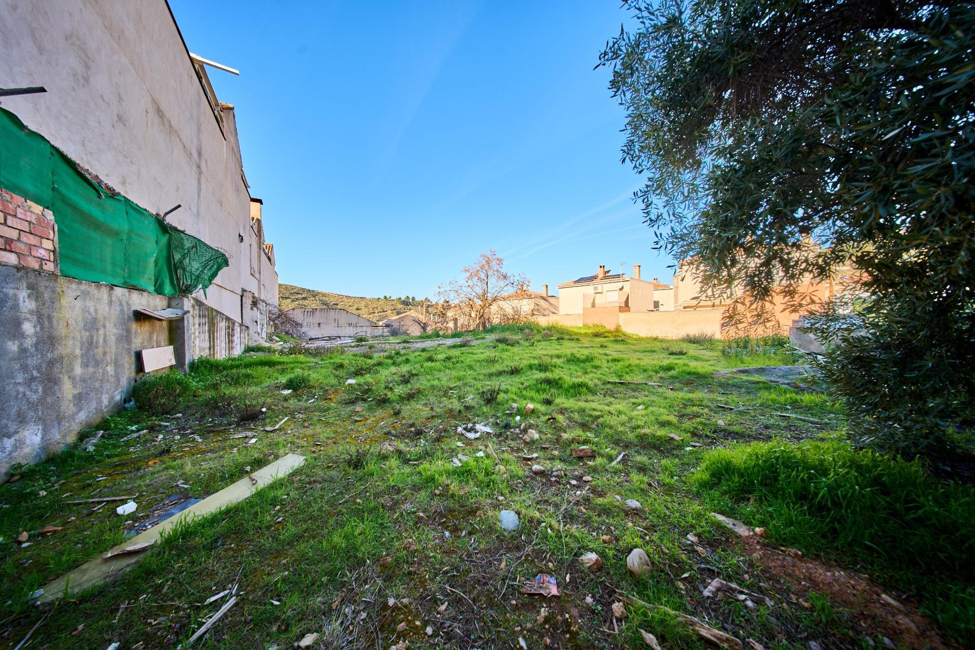 Fincas y solares-Venta-La Granada-2114519-Foto-7