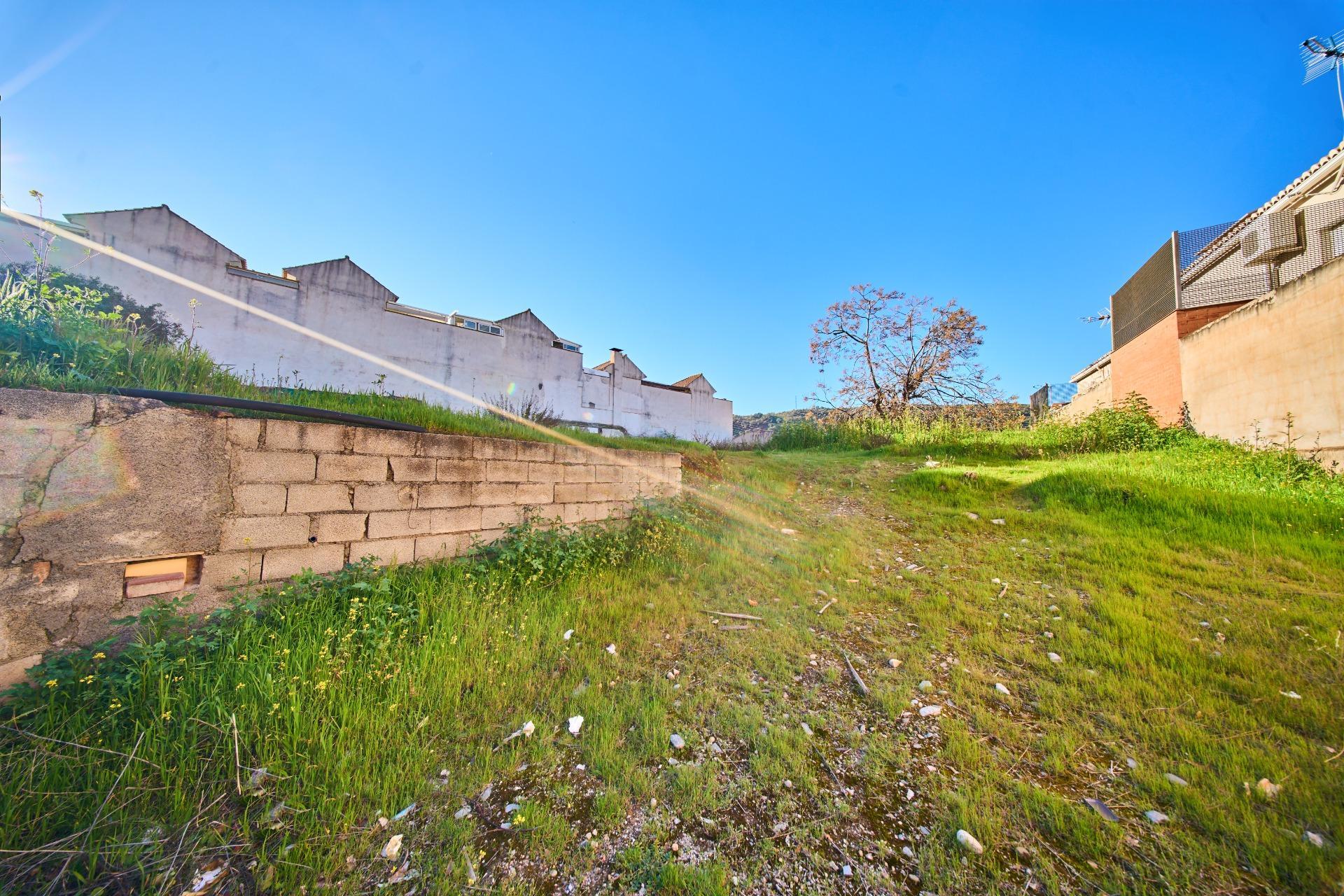 Fincas y solares-Venta-La Granada-2114519-Foto-10