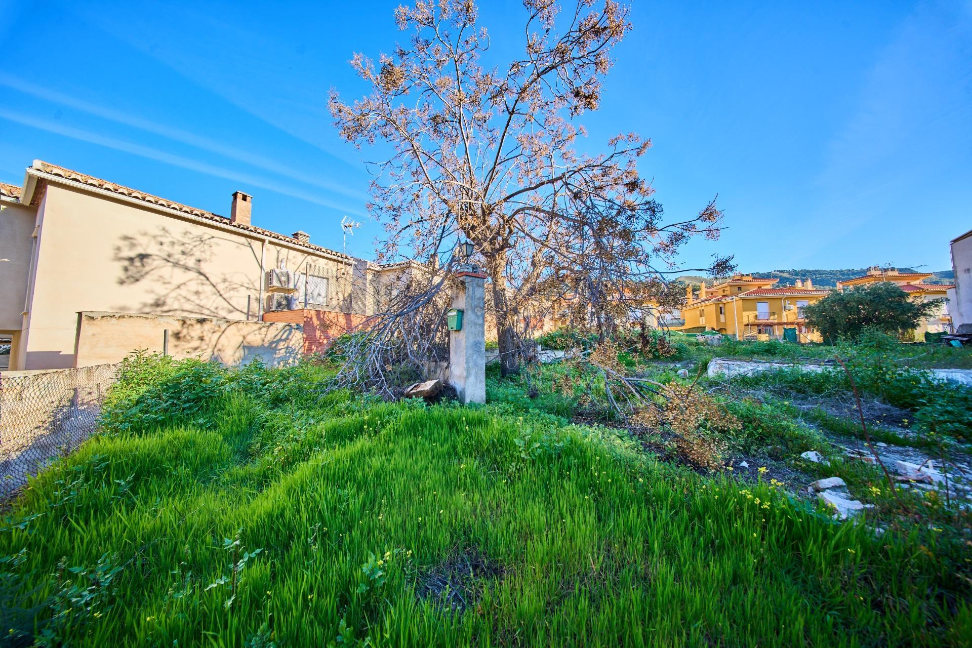 Fincas y solares-Venta-La Granada-2114519-Foto-22