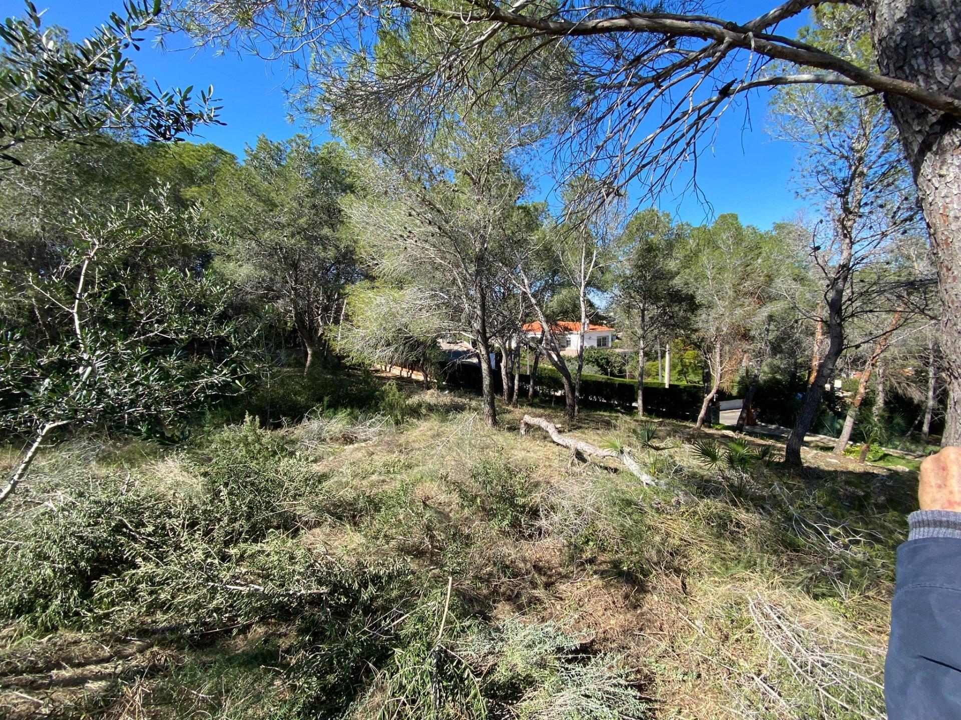 Fincas y solares-Venta-Picassent-2114534