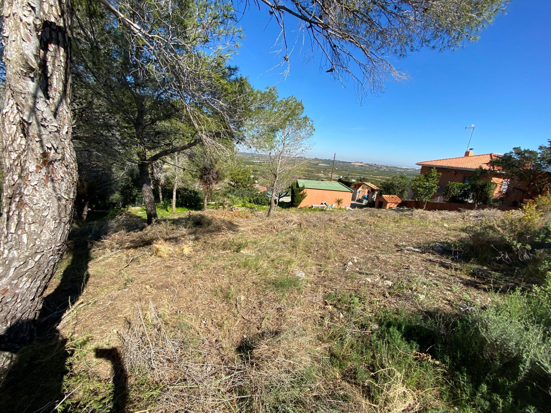 Fincas y solares-Venta-Picassent-2114534-Foto-3