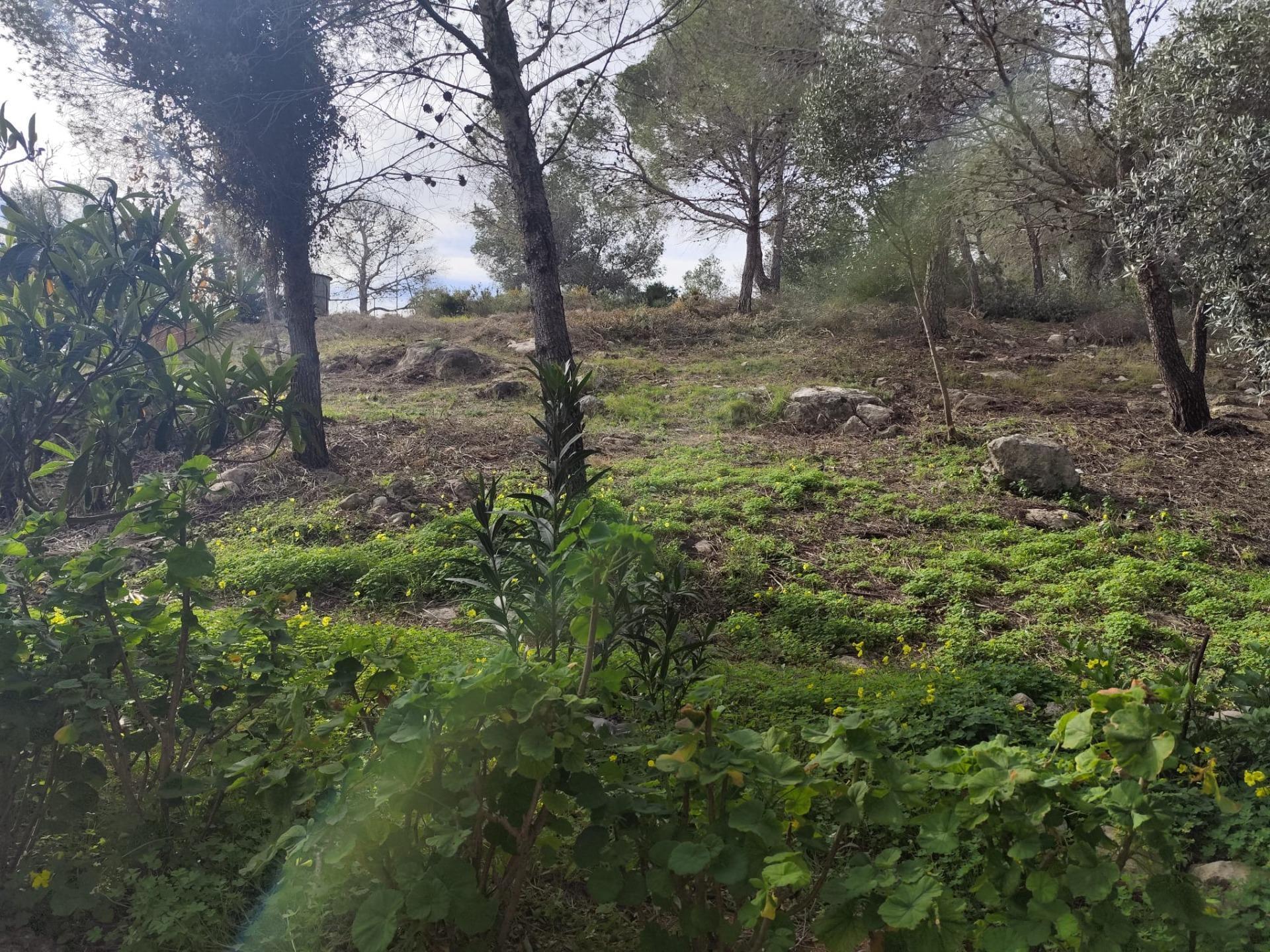 Fincas y solares-Venta-Picassent-2114534-Foto-5