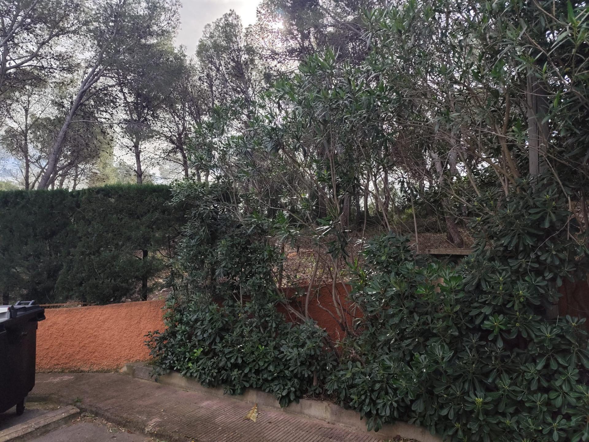 Fincas y solares-Venta-Picassent-2114534-Foto-7