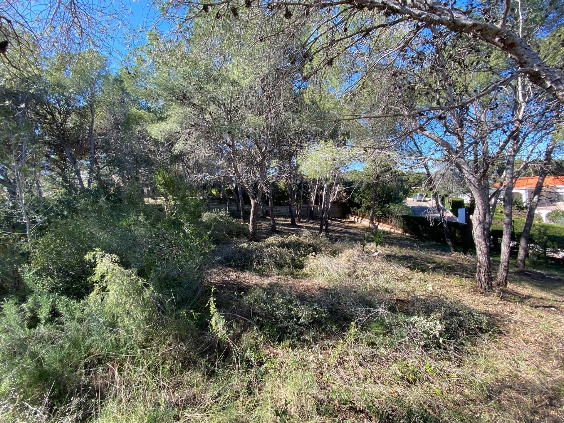 Fincas y solares-Venta-Picassent-2114534-Foto-4