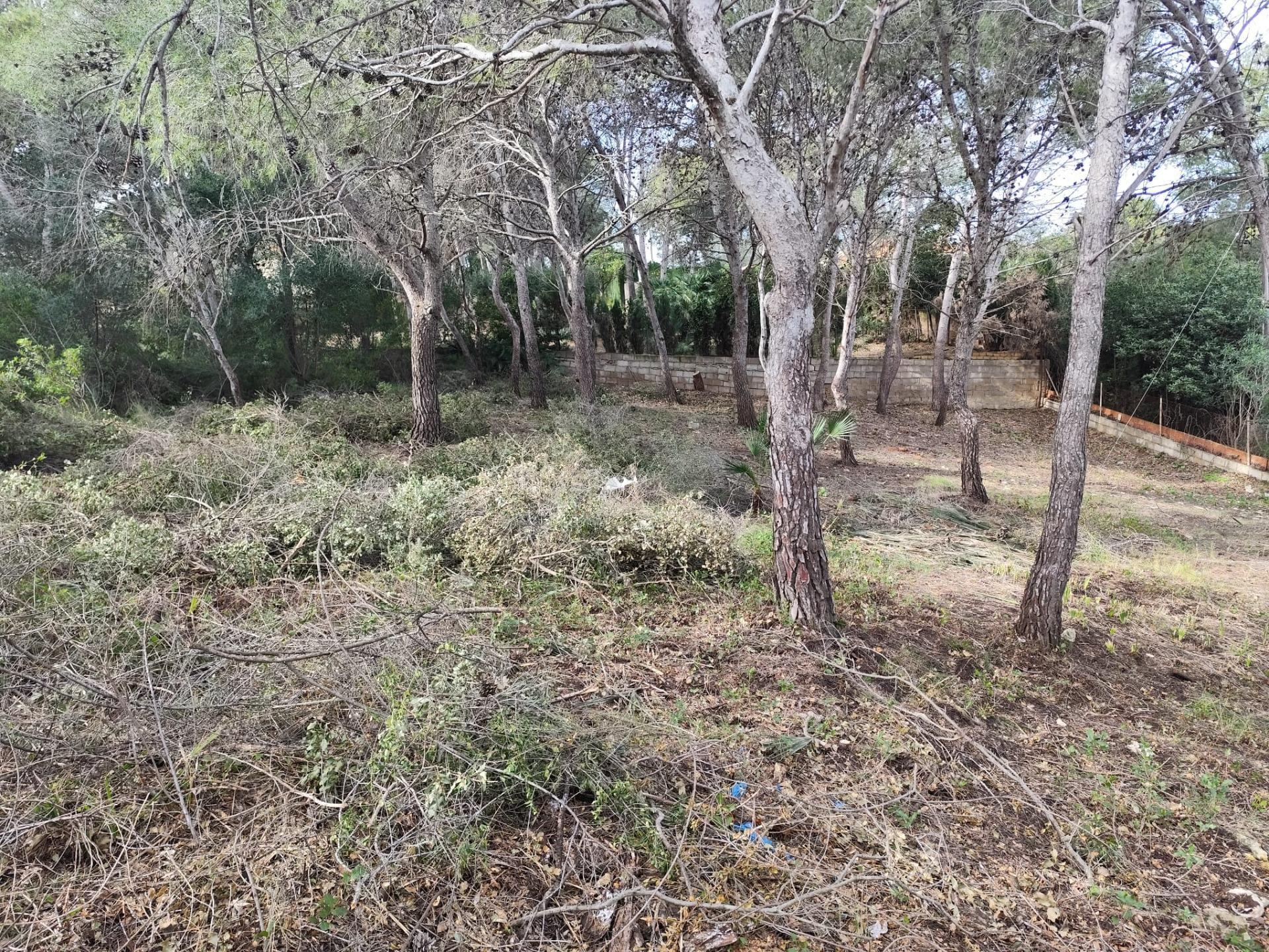 Fincas y solares-Venta-Picassent-2114534-Foto-15