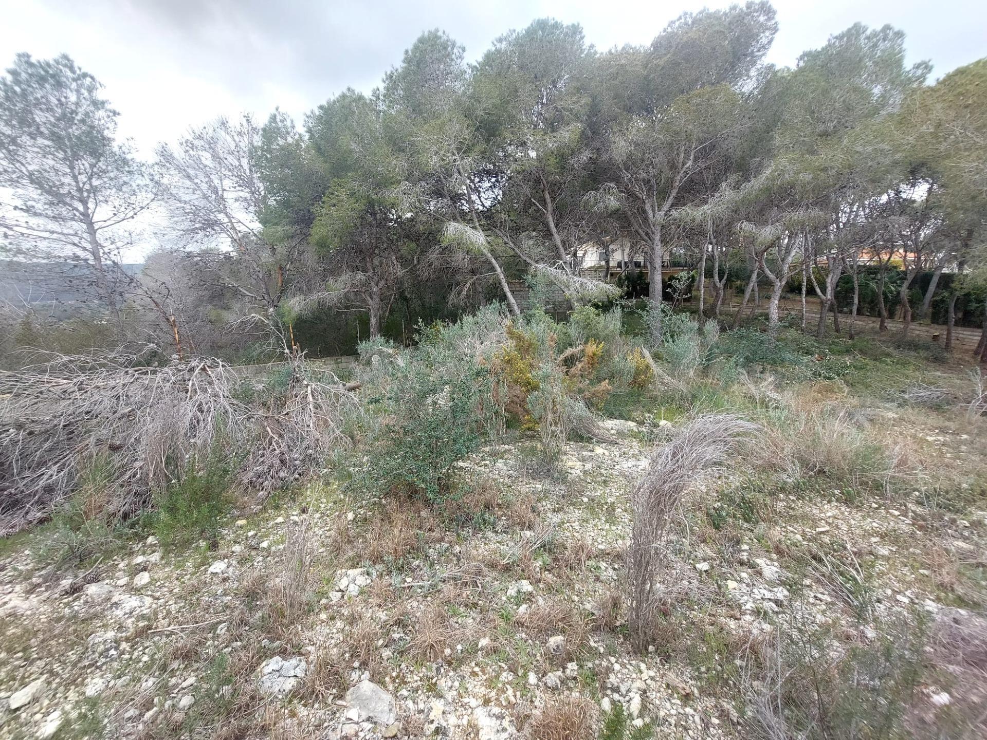 Fincas y solares-Venta-Picassent-2114534-Foto-12