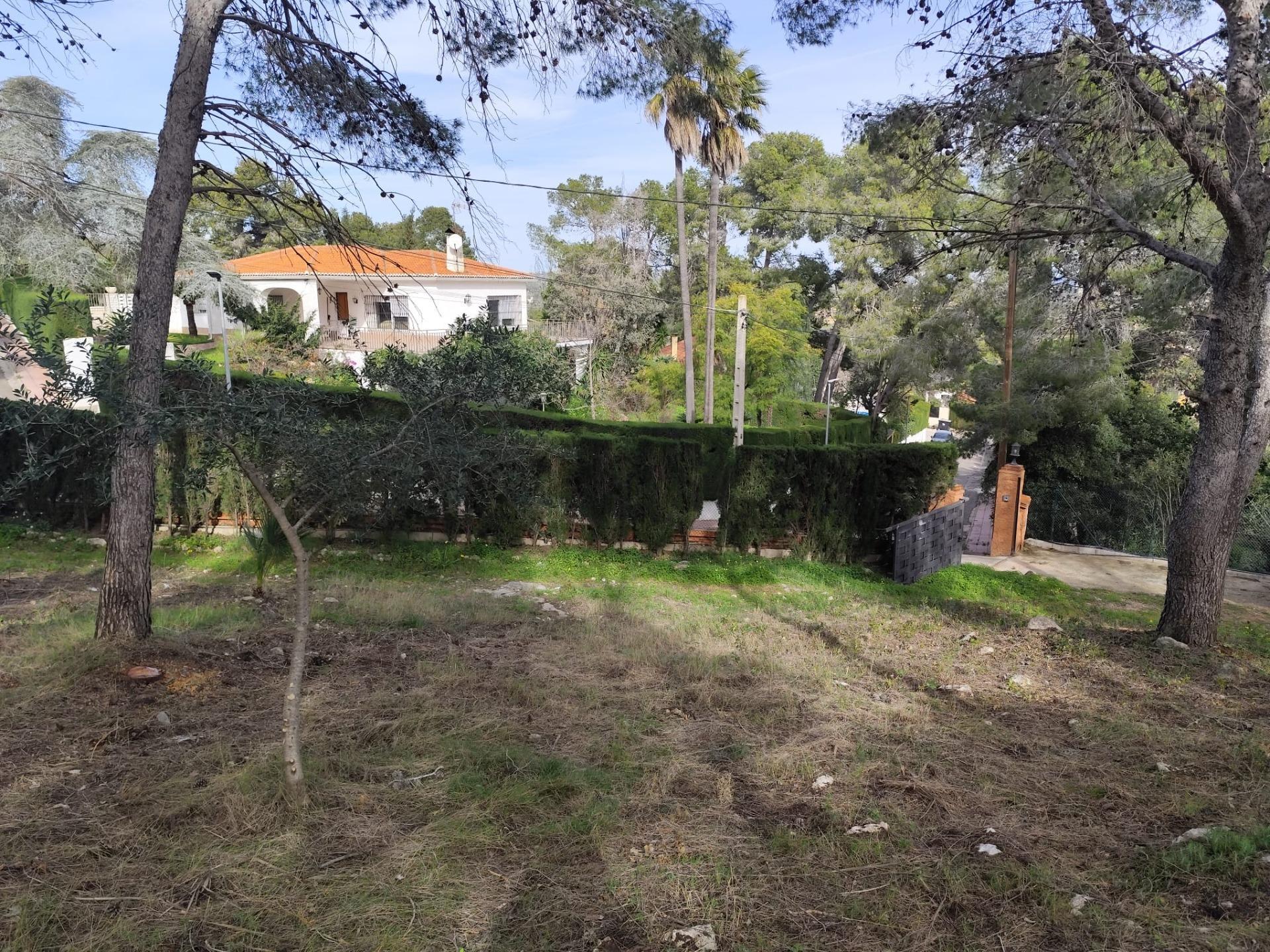 Fincas y solares-Venta-Picassent-2114534-Foto-11