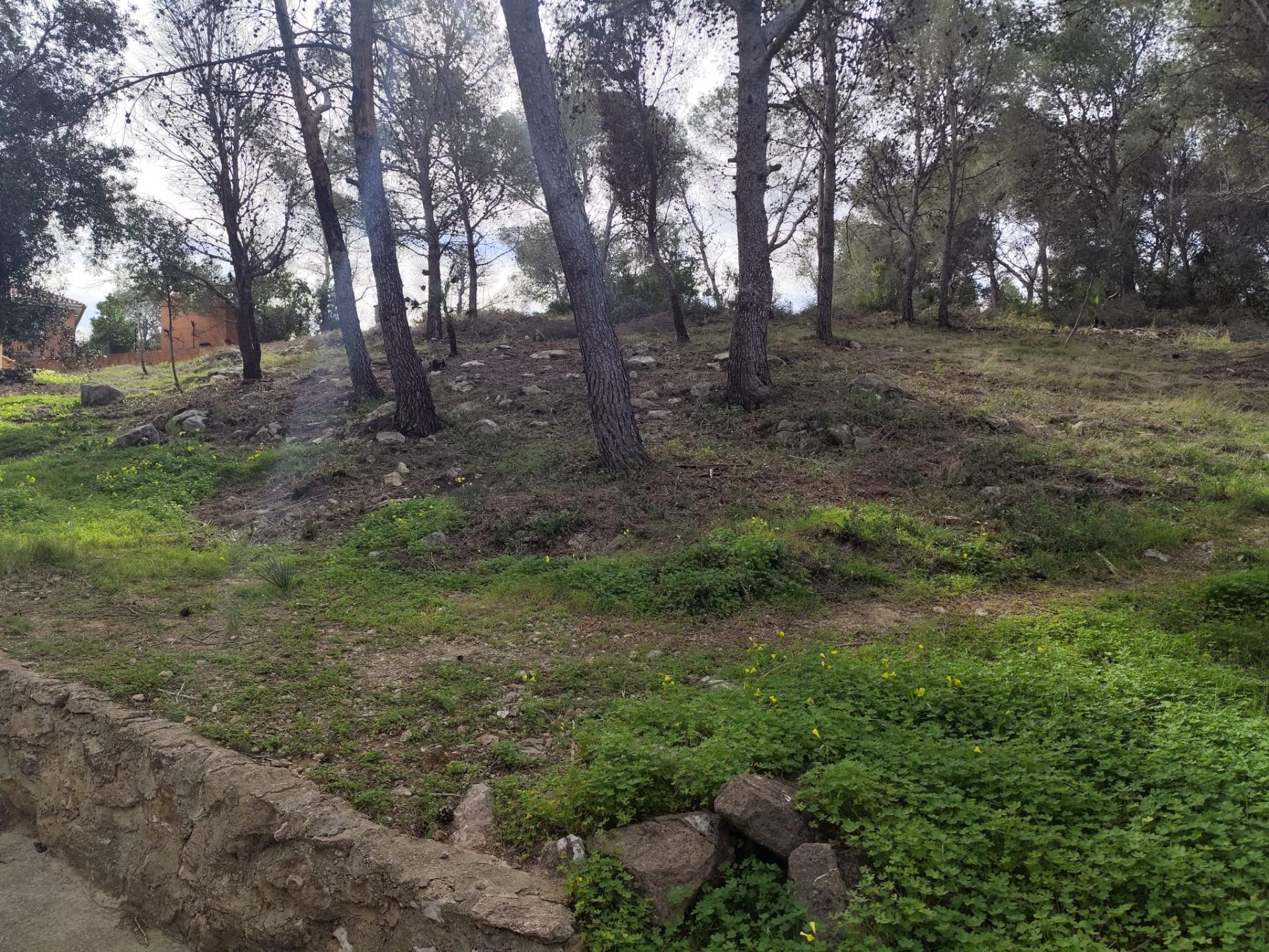 Fincas y solares-Venta-Picassent-2114534-Foto-14