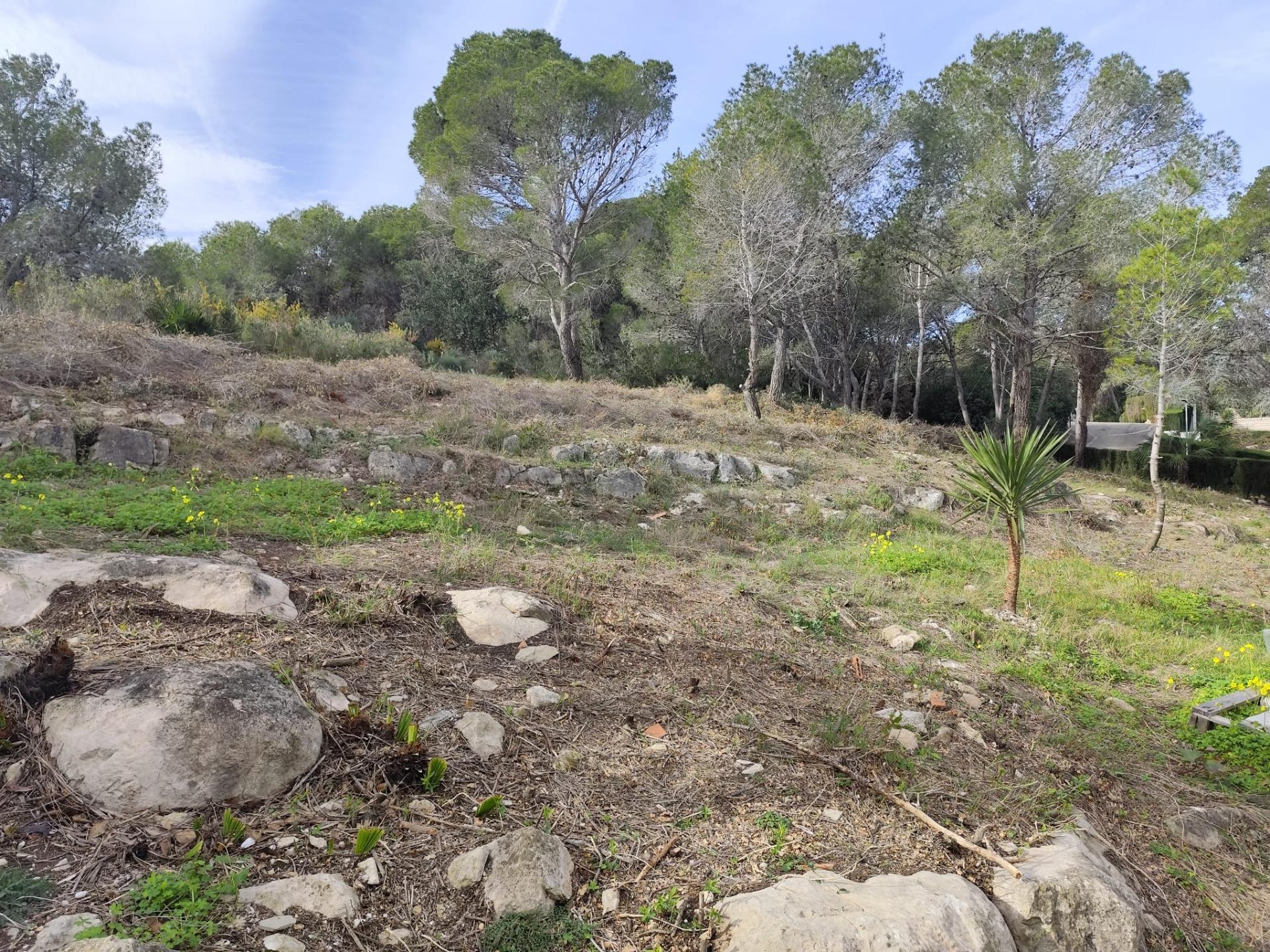 Fincas y solares-Venta-Picassent-2114534-Foto-19