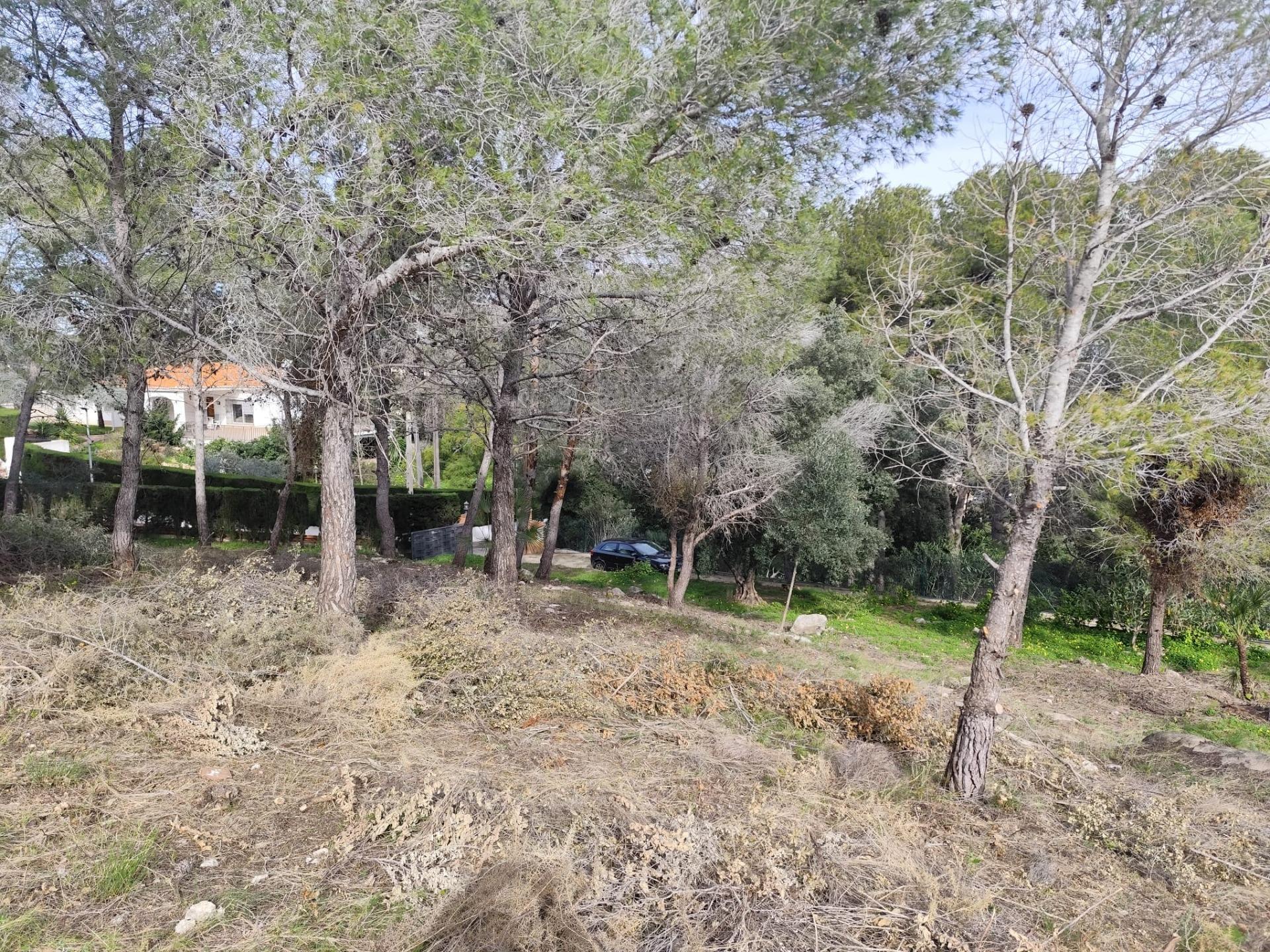 Fincas y solares-Venta-Picassent-2114534-Foto-21