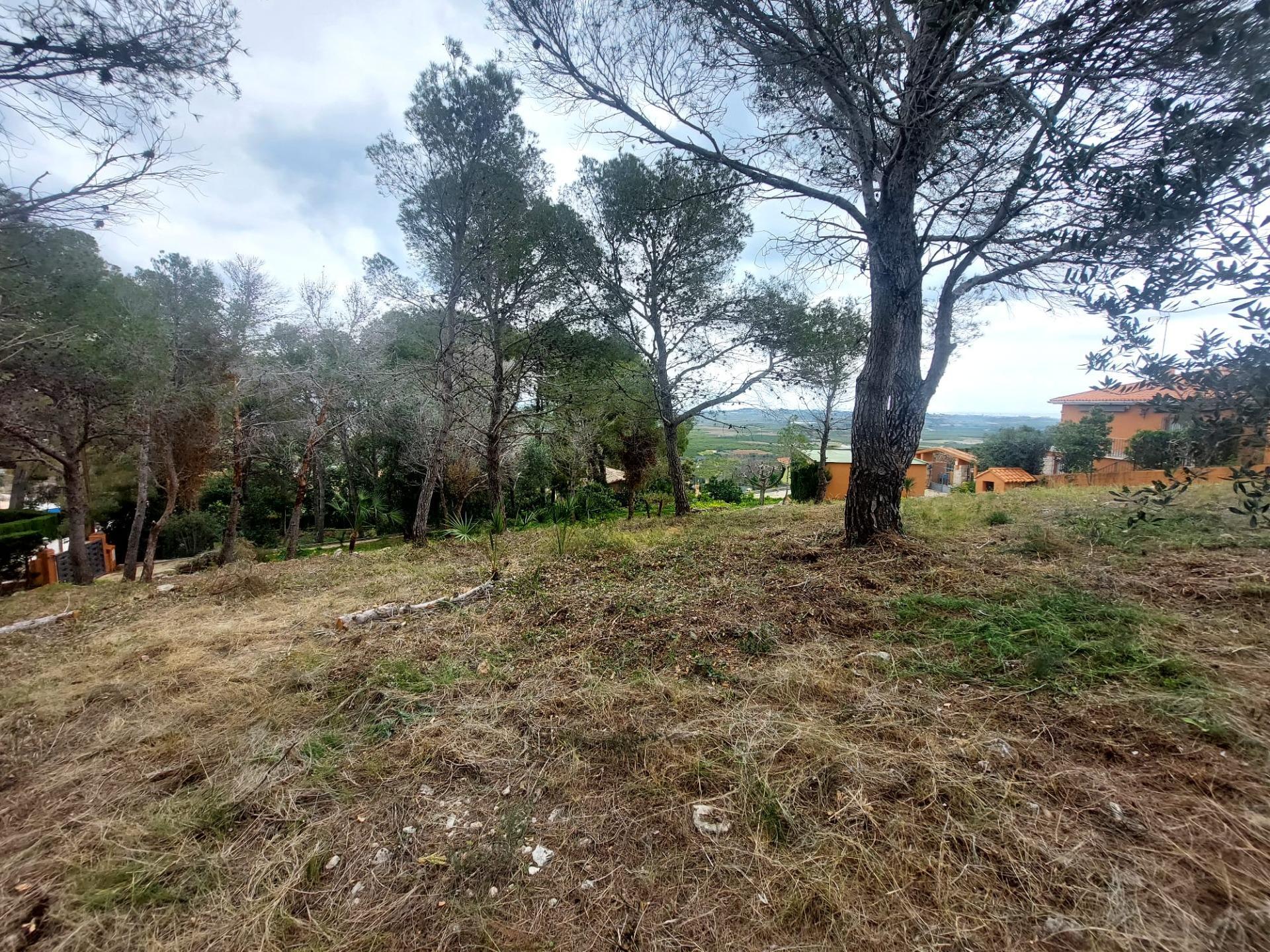 Fincas y solares-Venta-Picassent-2114534-Foto-22