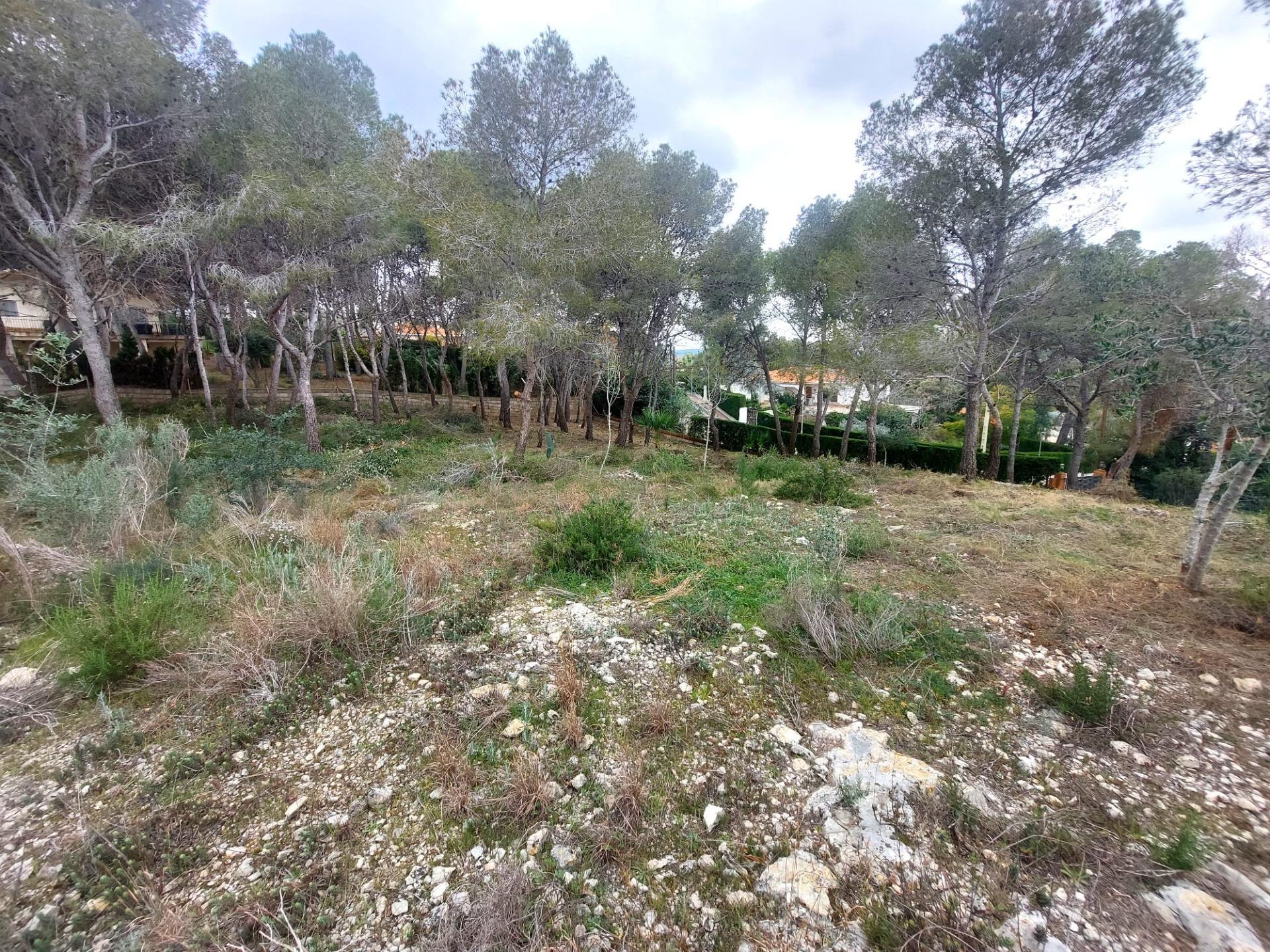 Fincas y solares-Venta-Picassent-2114534-Foto-23